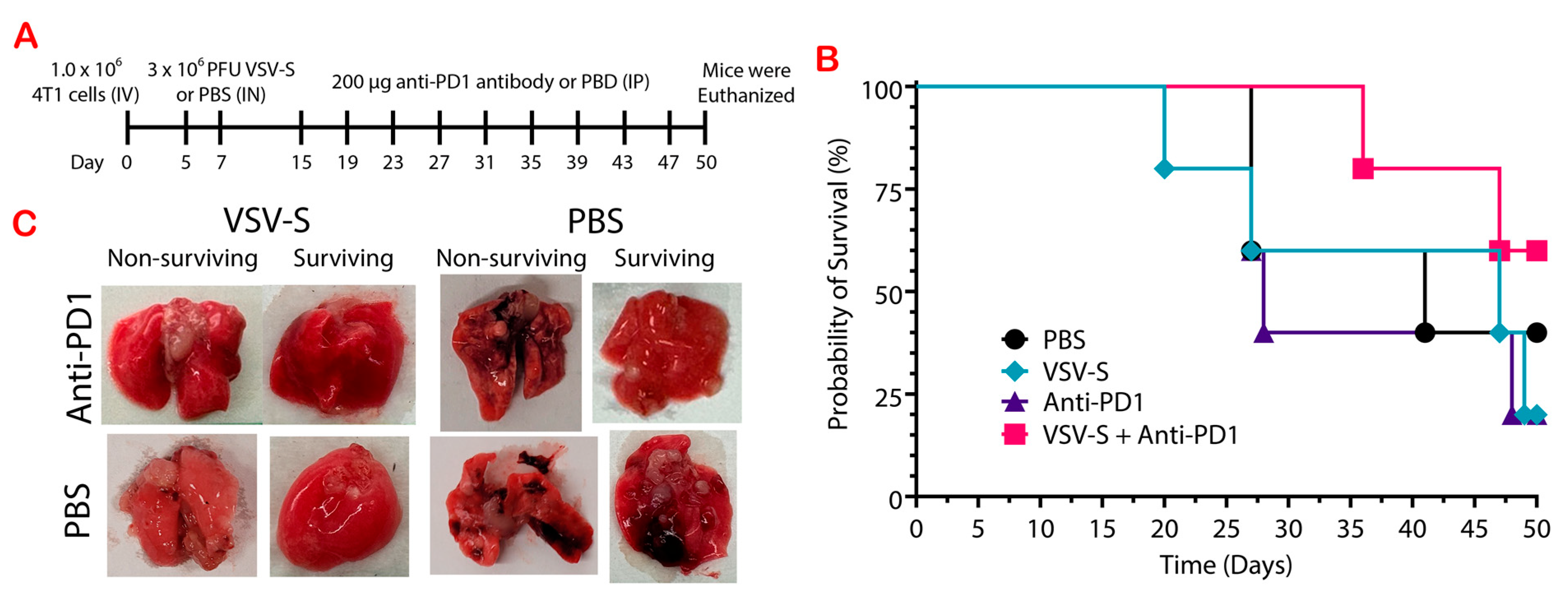 Cancers 16 03248 g003