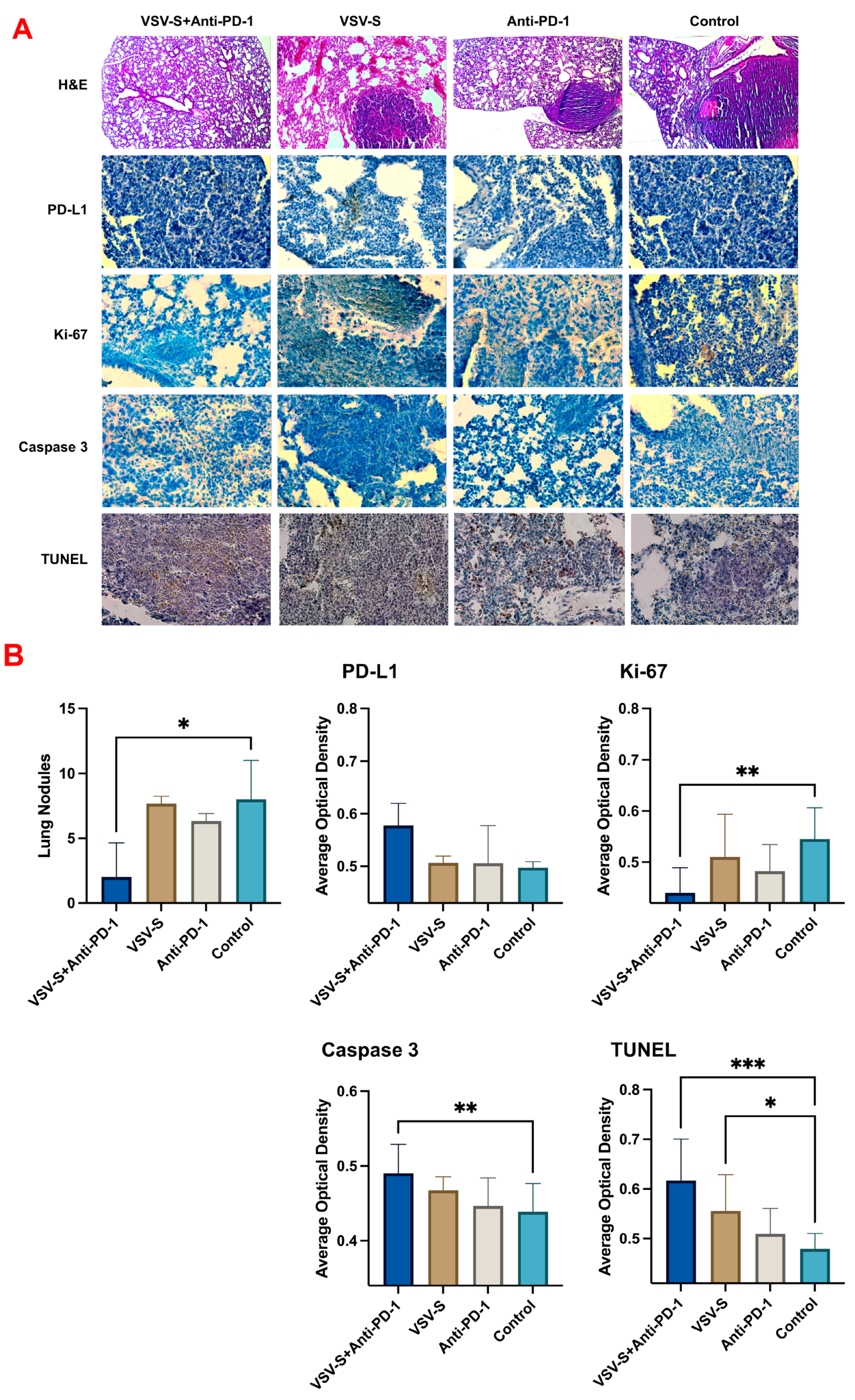 Cancers 16 03248 g004