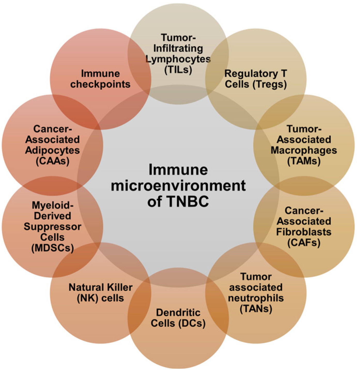 Cancers 16 03250 g001