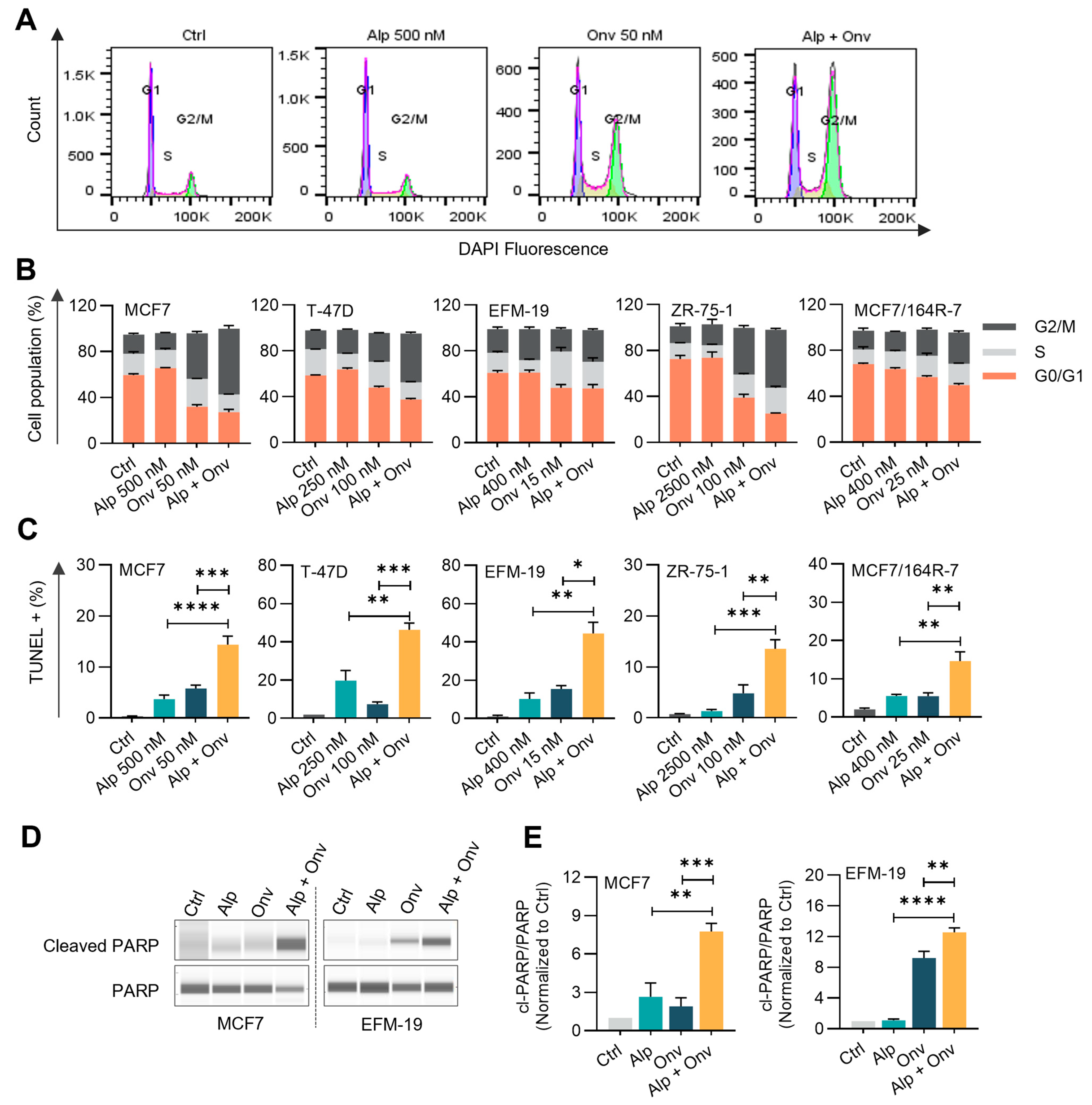 Cancers 16 03259 g002