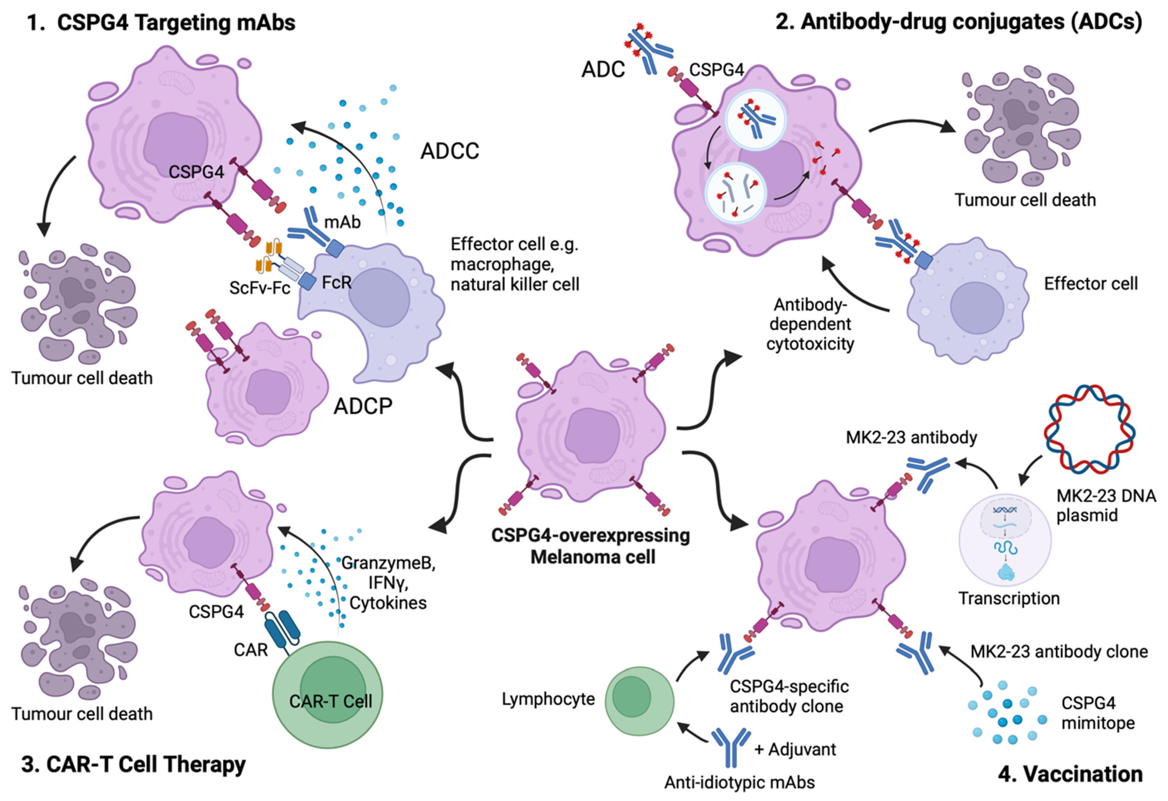 Cancers 16 03260 g003