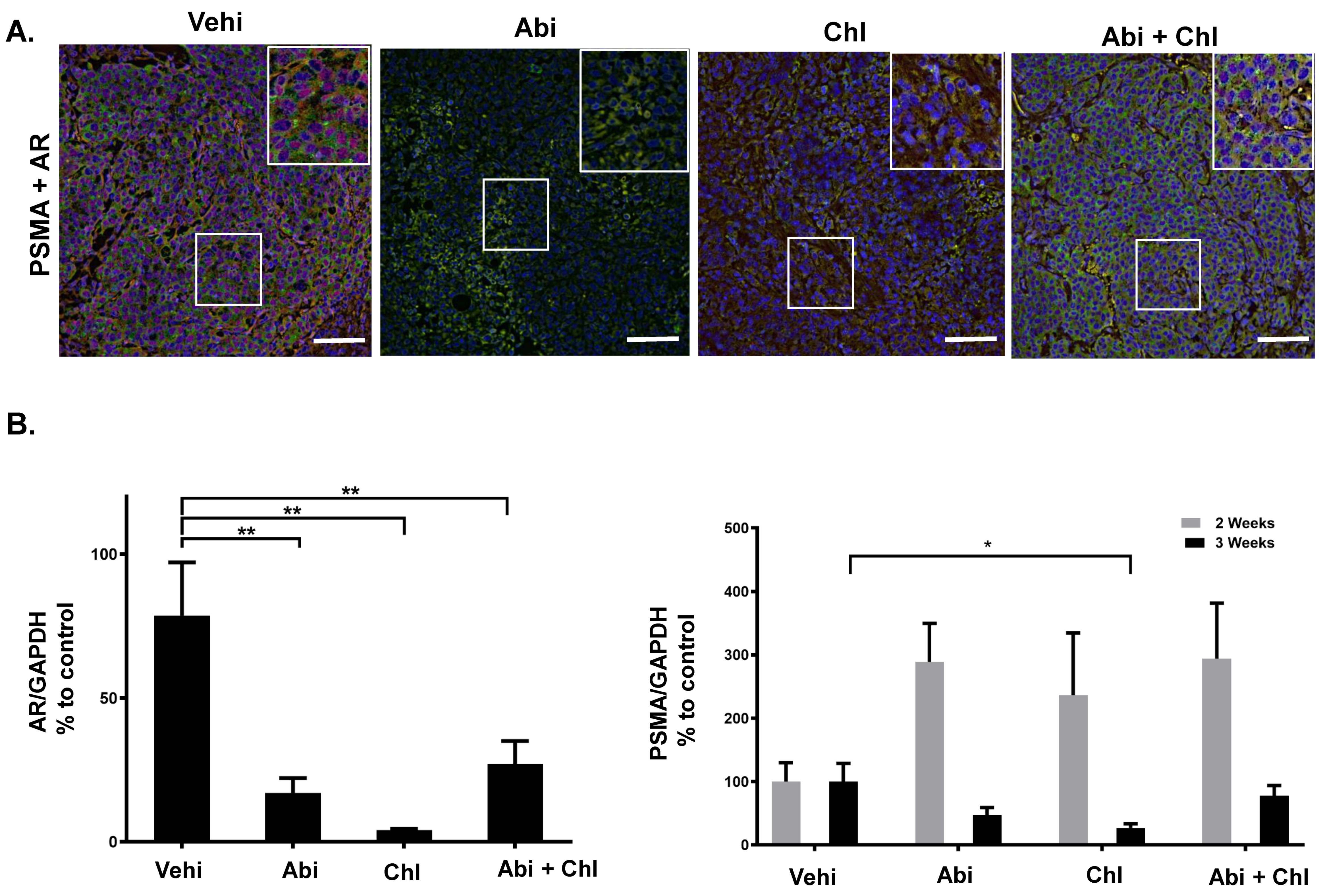 Cancers 16 03261 g005