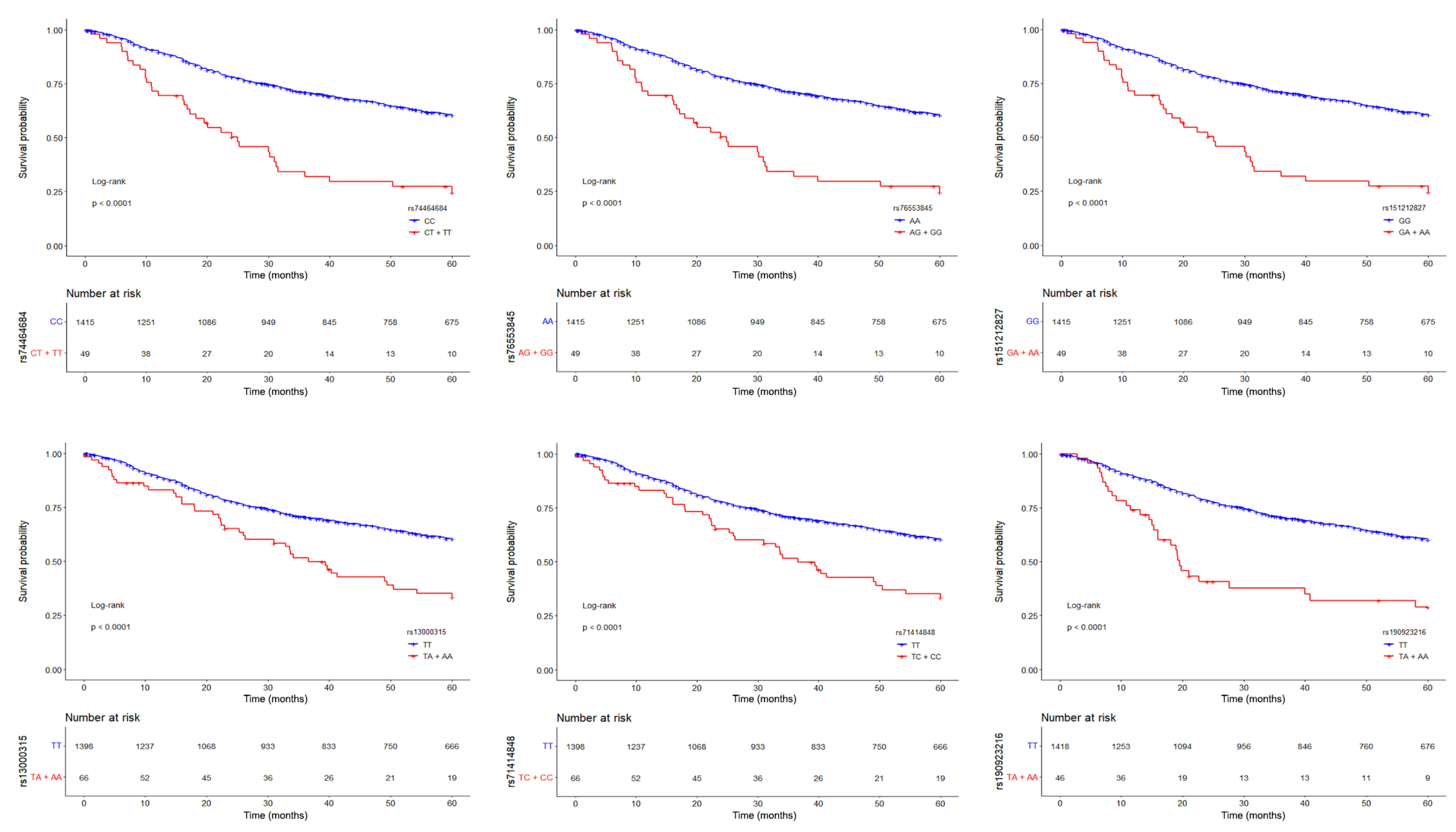 Cancers 16 03264 g002