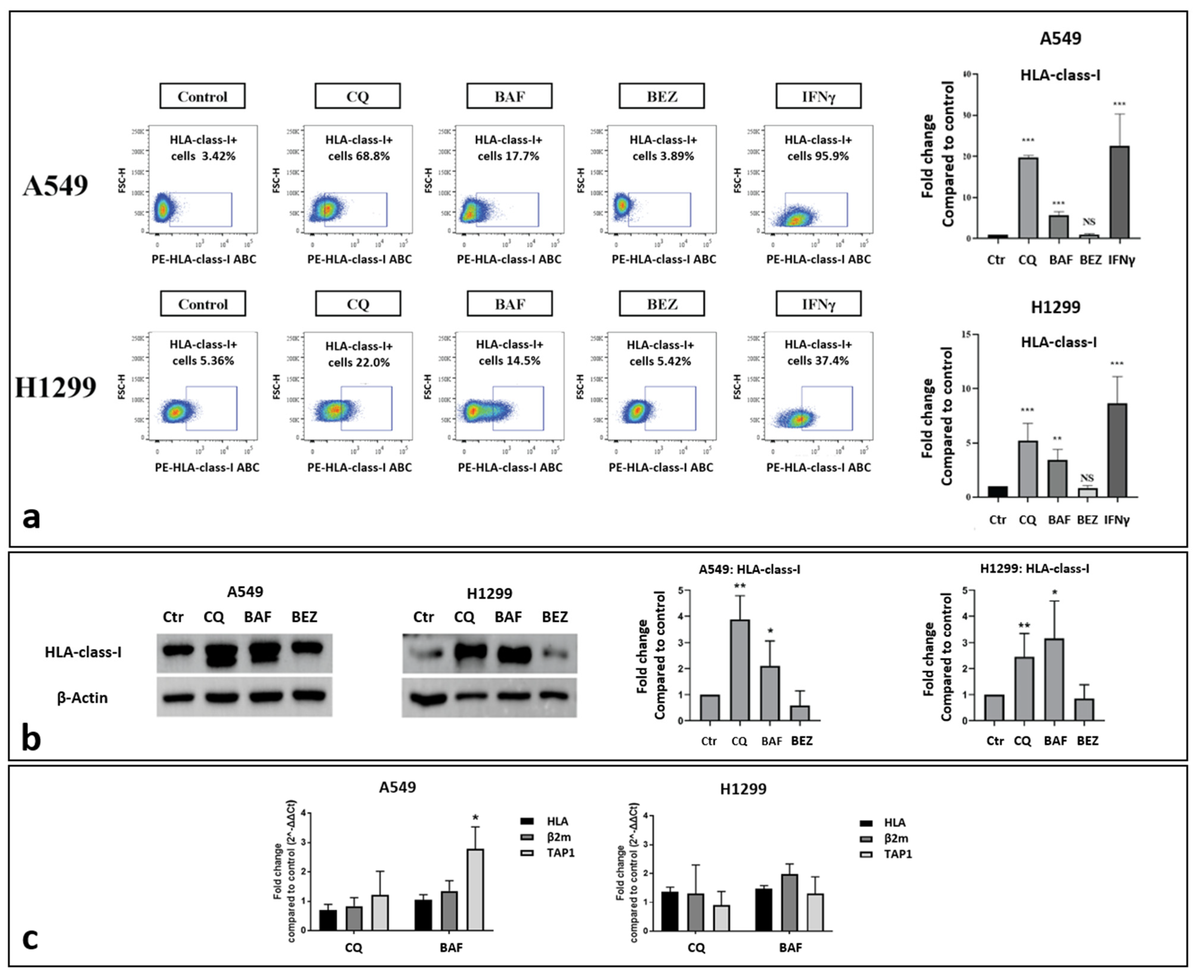 Cancers 16 03272 g001
