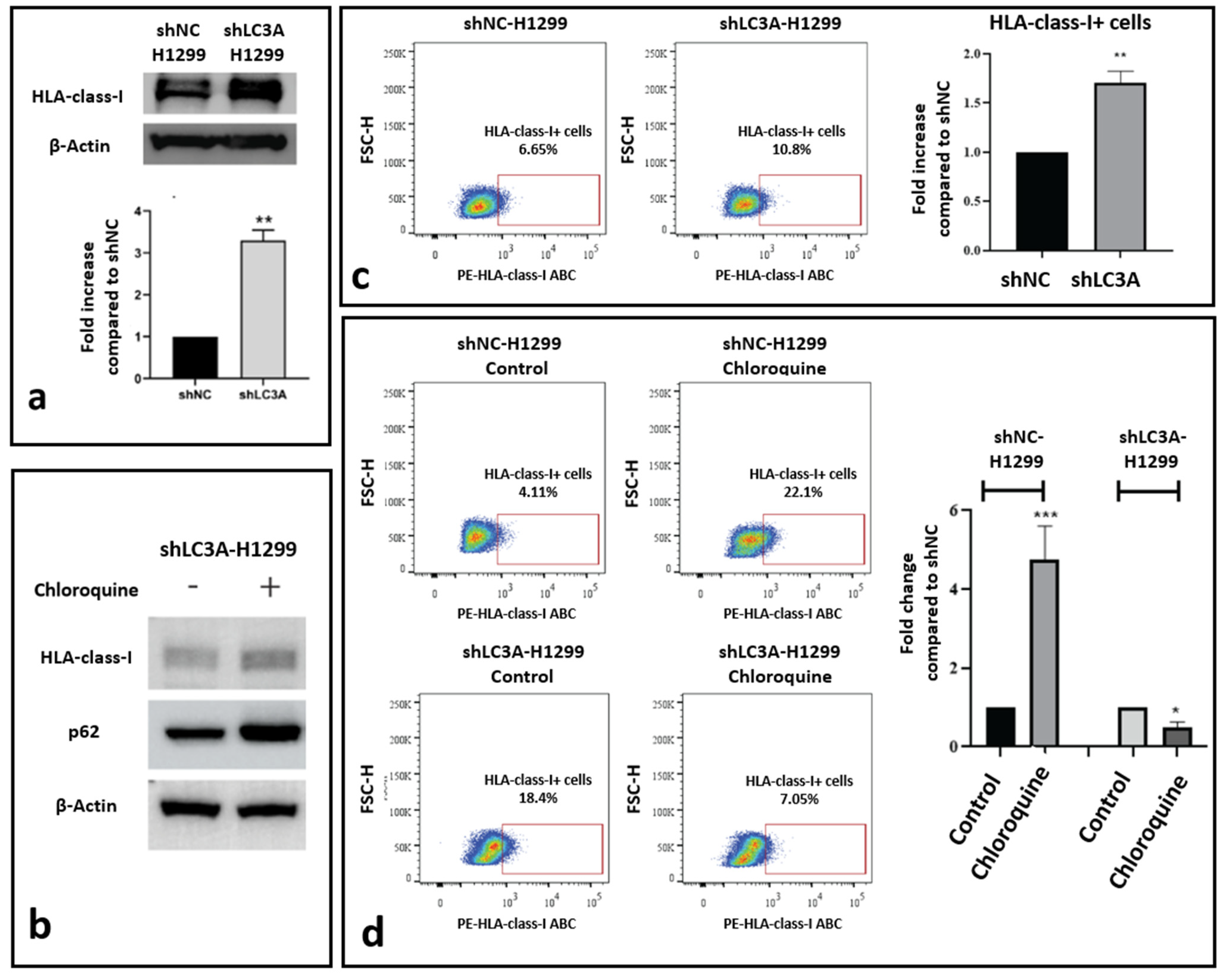 Cancers 16 03272 g003