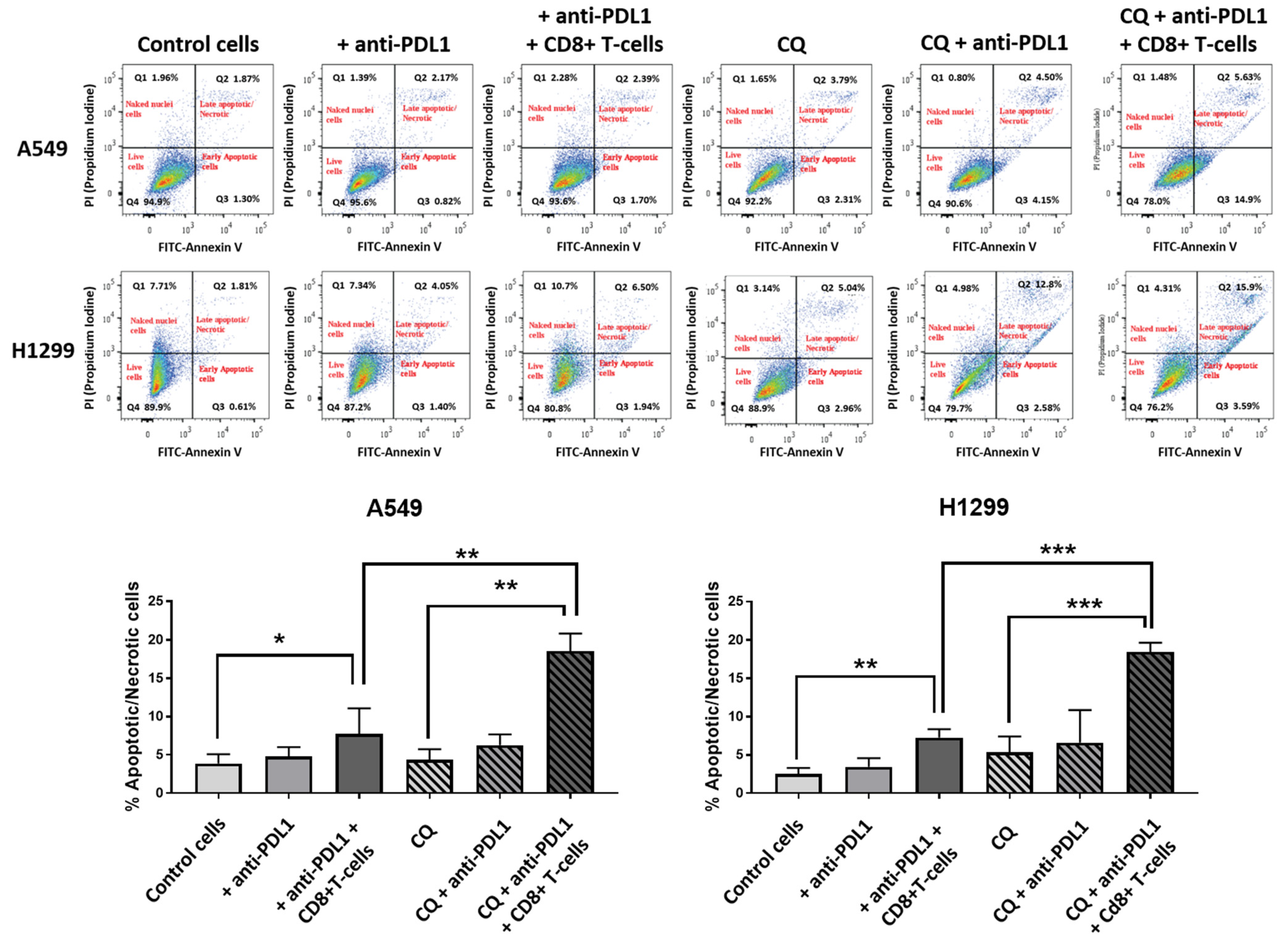 Cancers 16 03272 g005