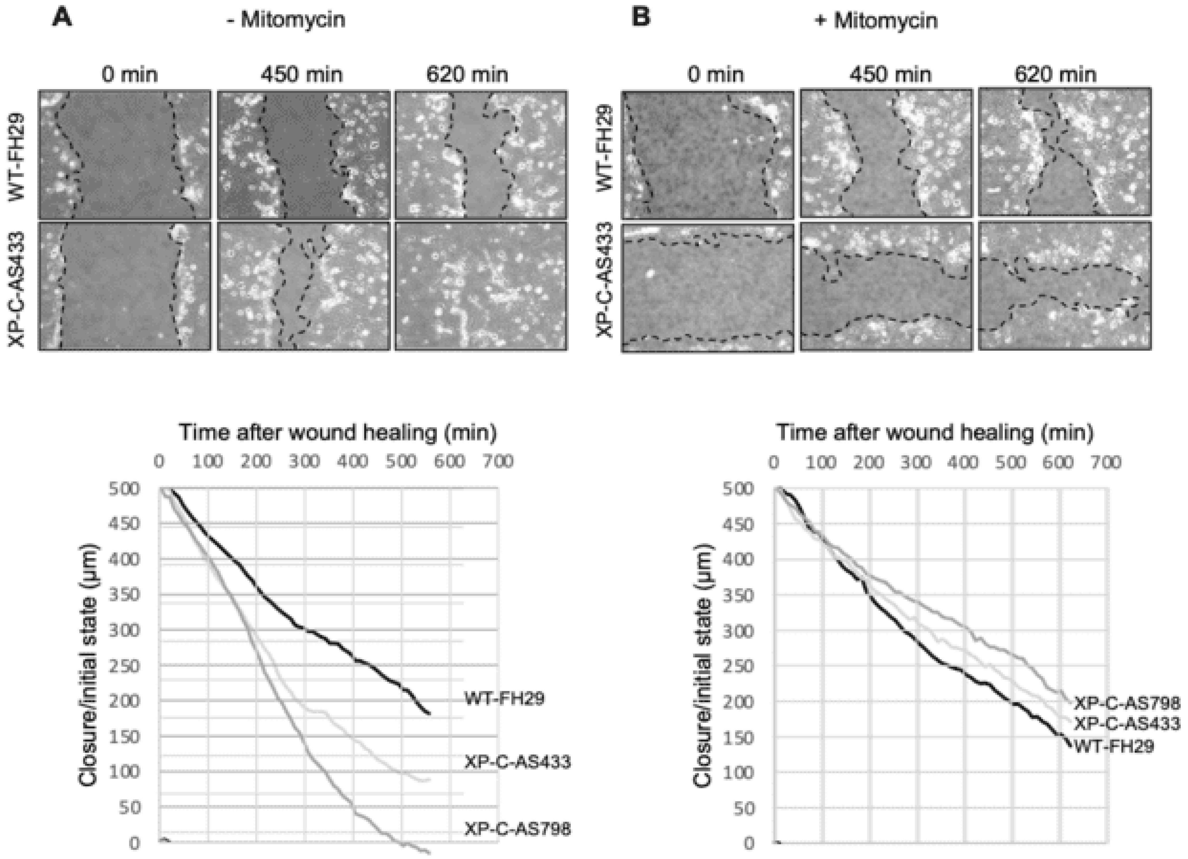 Cancers 16 03277 g002