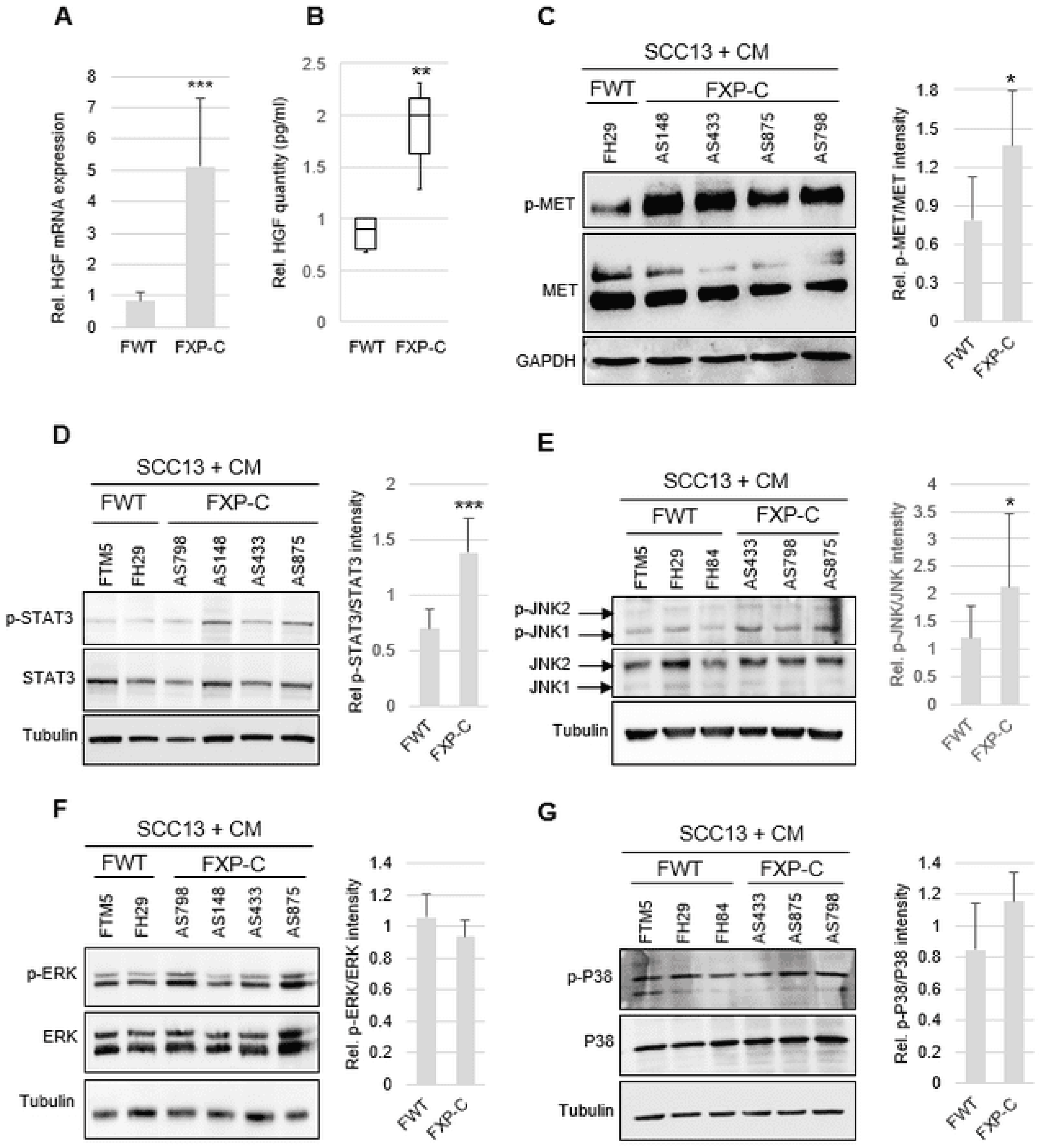 Cancers 16 03277 g003