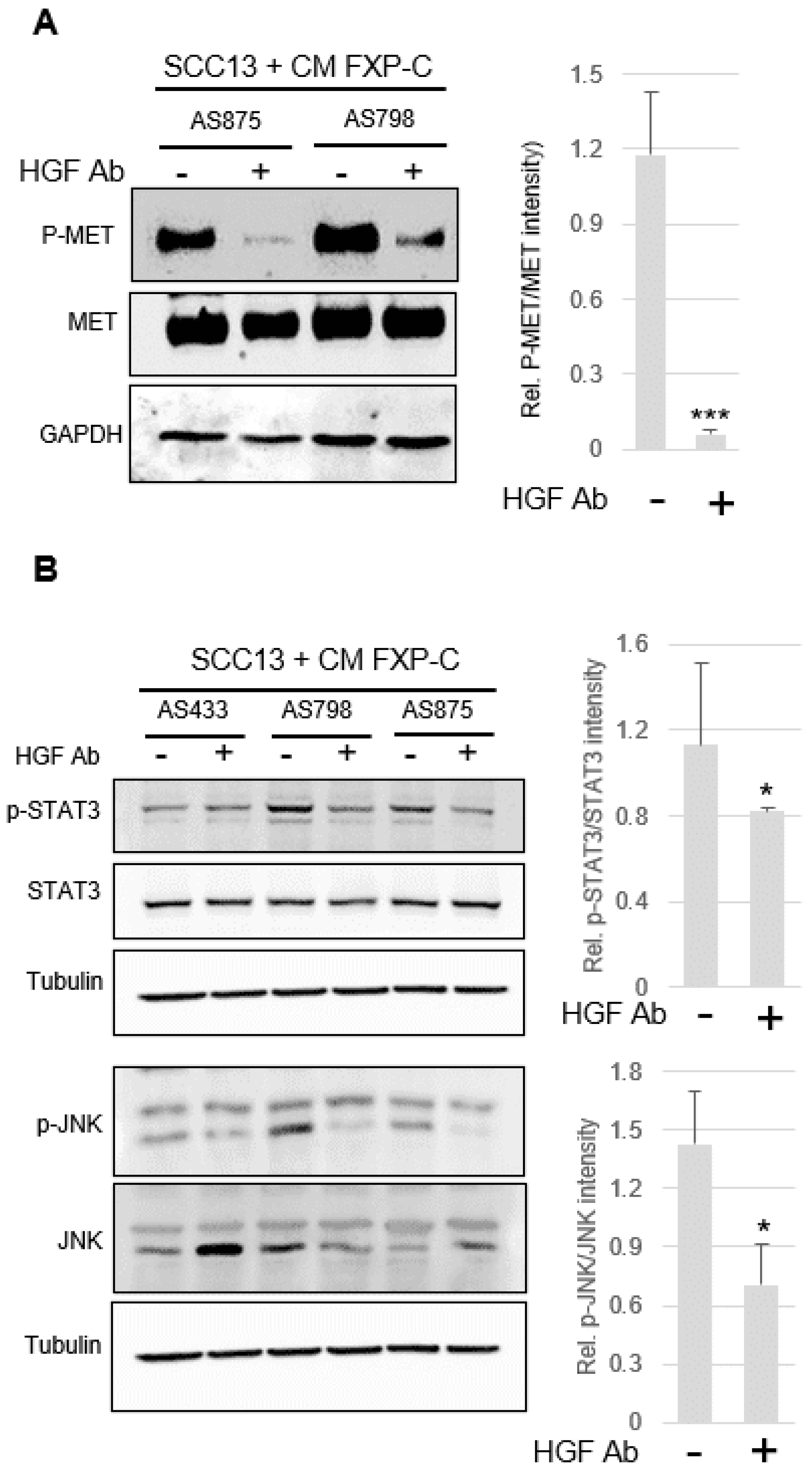 Cancers 16 03277 g004