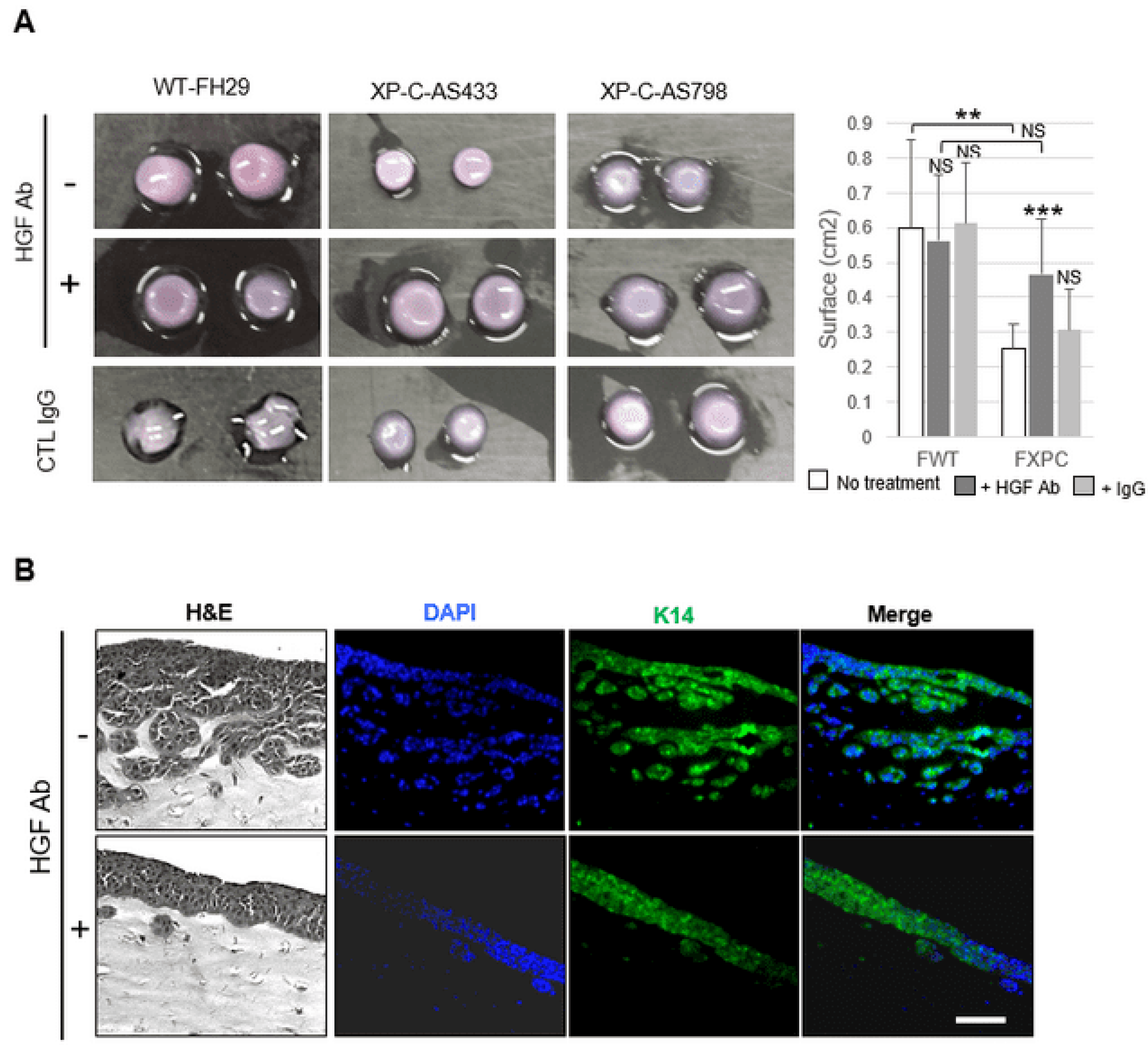 Cancers 16 03277 g005