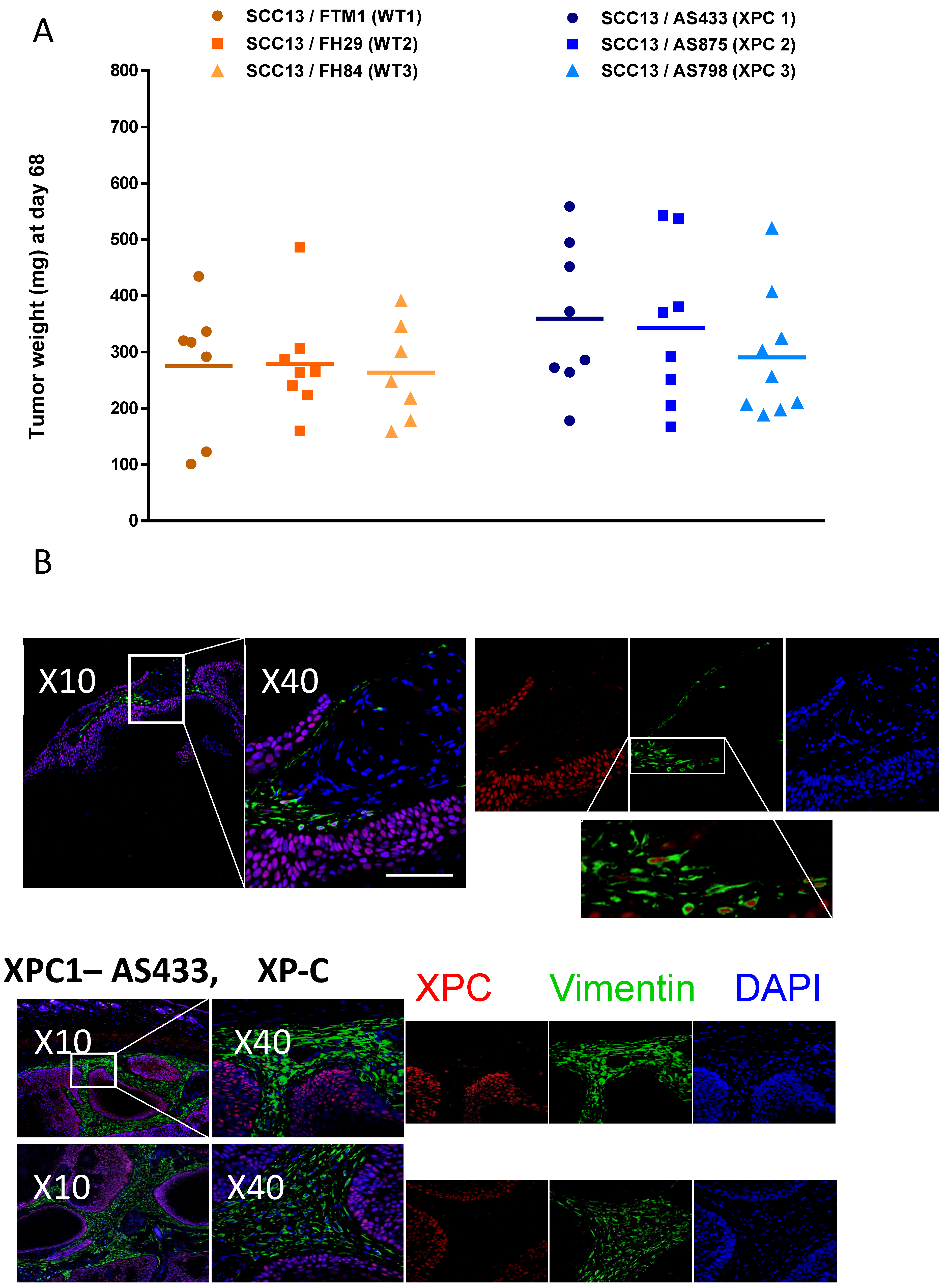 Cancers 16 03277 g006