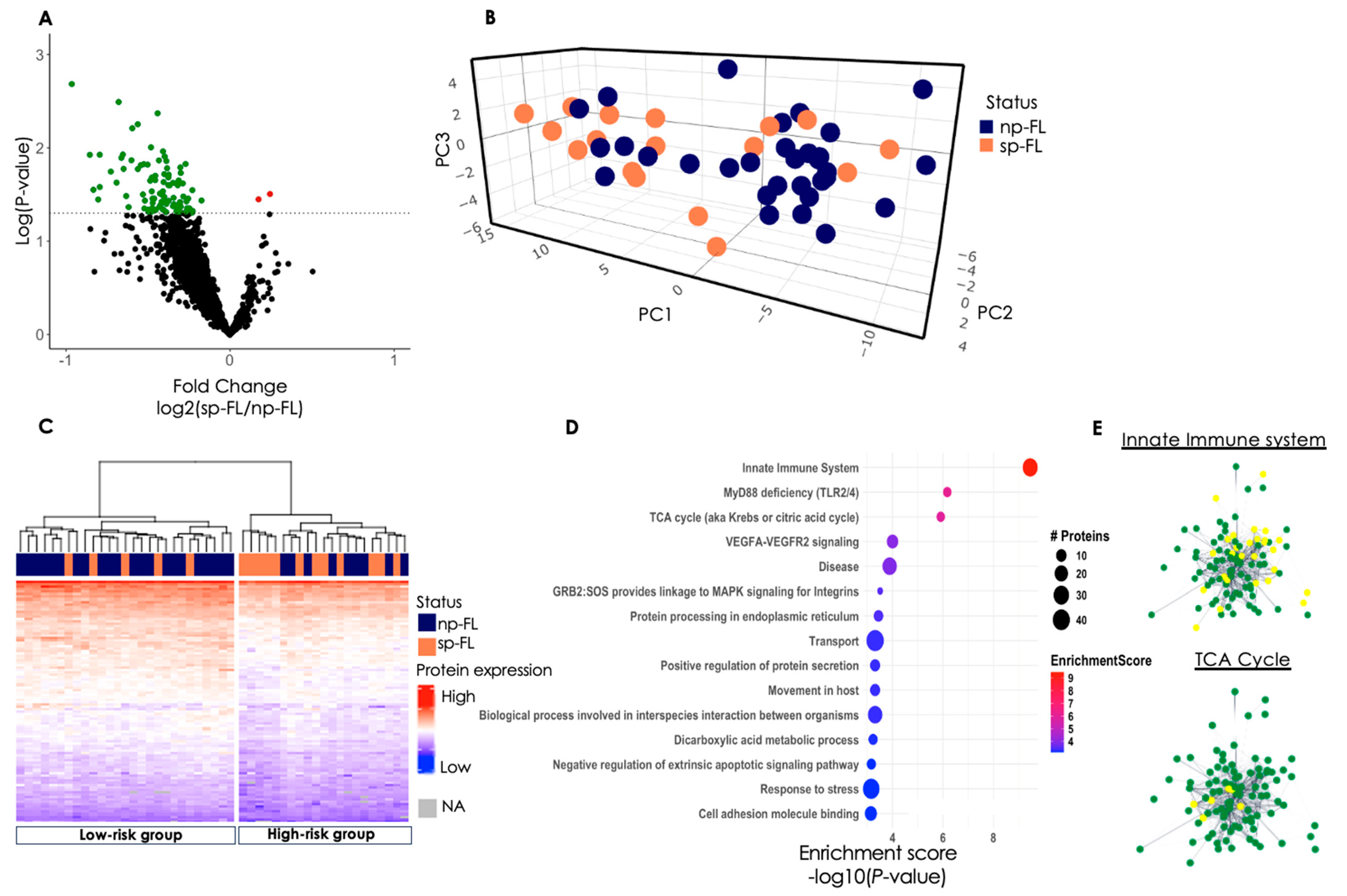 Cancers 16 03278 g001