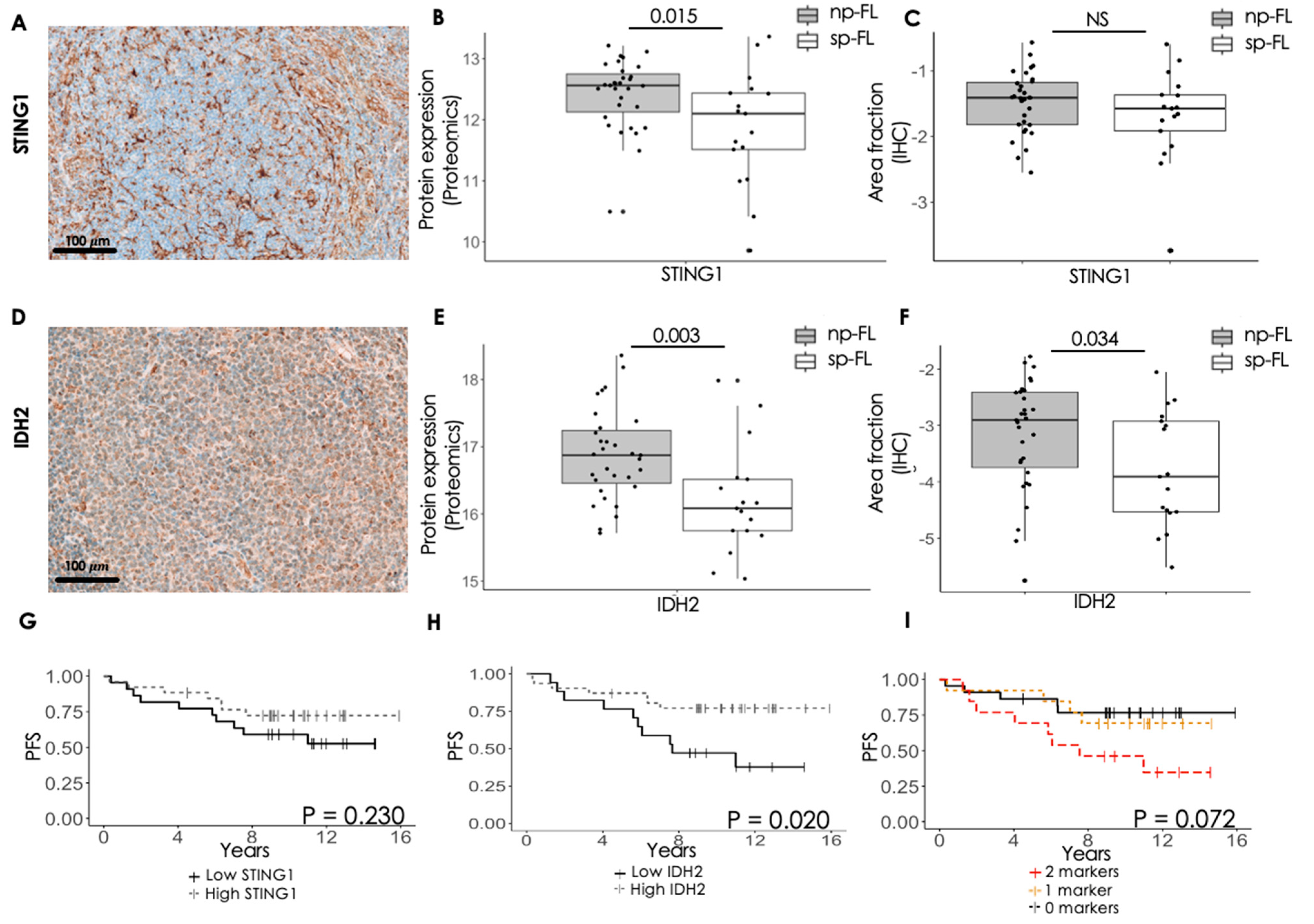 Cancers 16 03278 g003