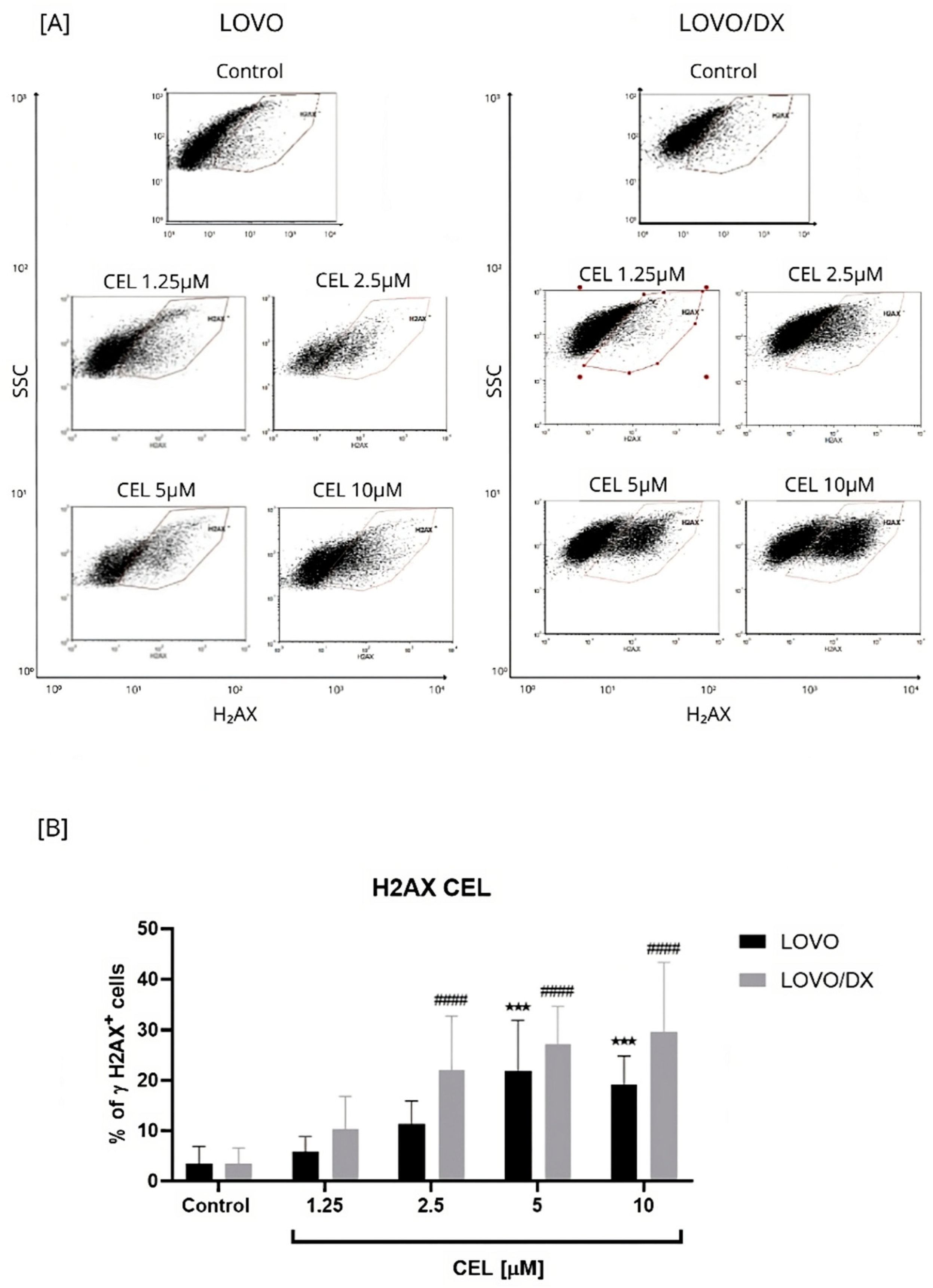 Cancers 16 03279 g002