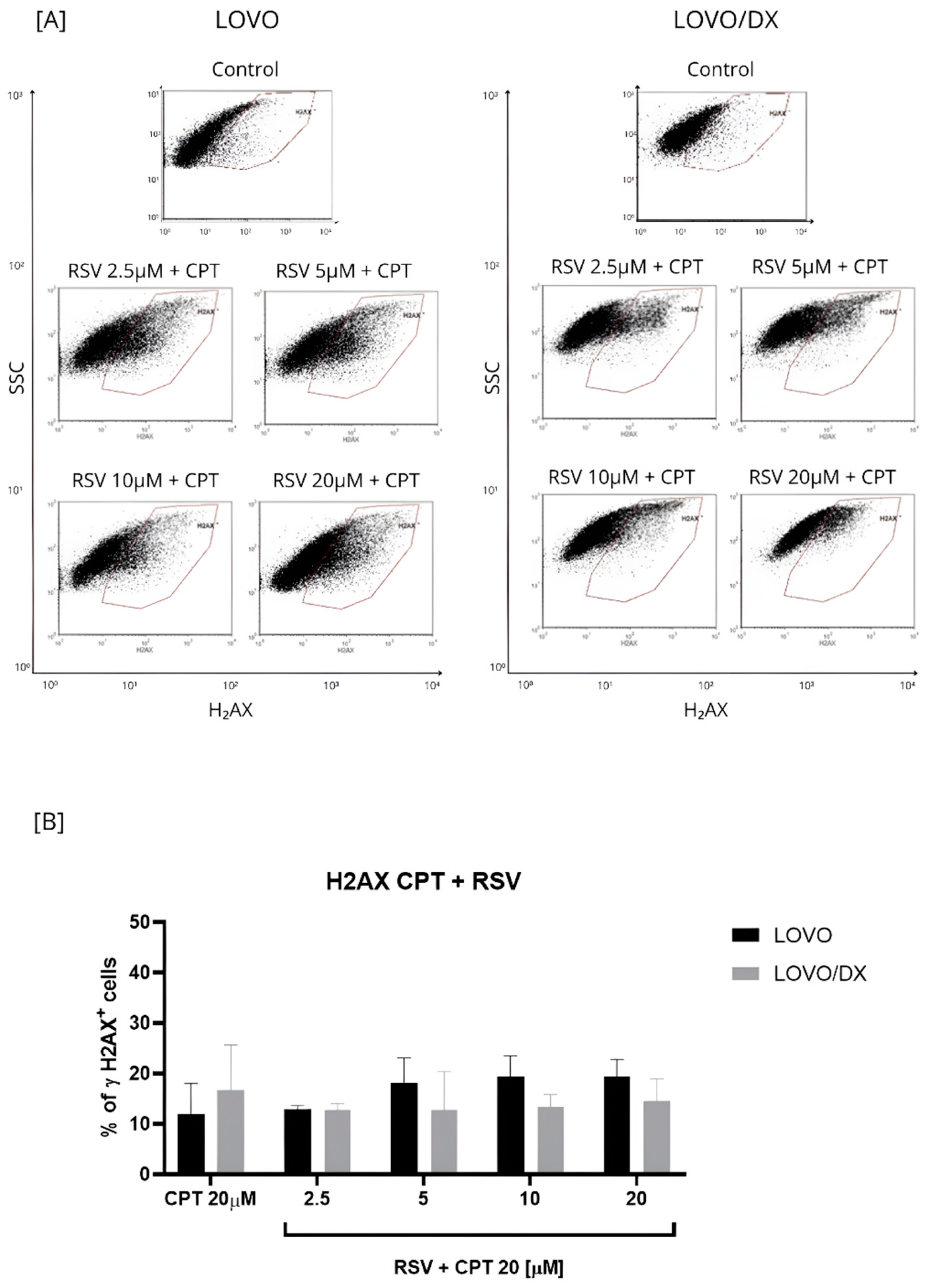 Cancers 16 03279 g005