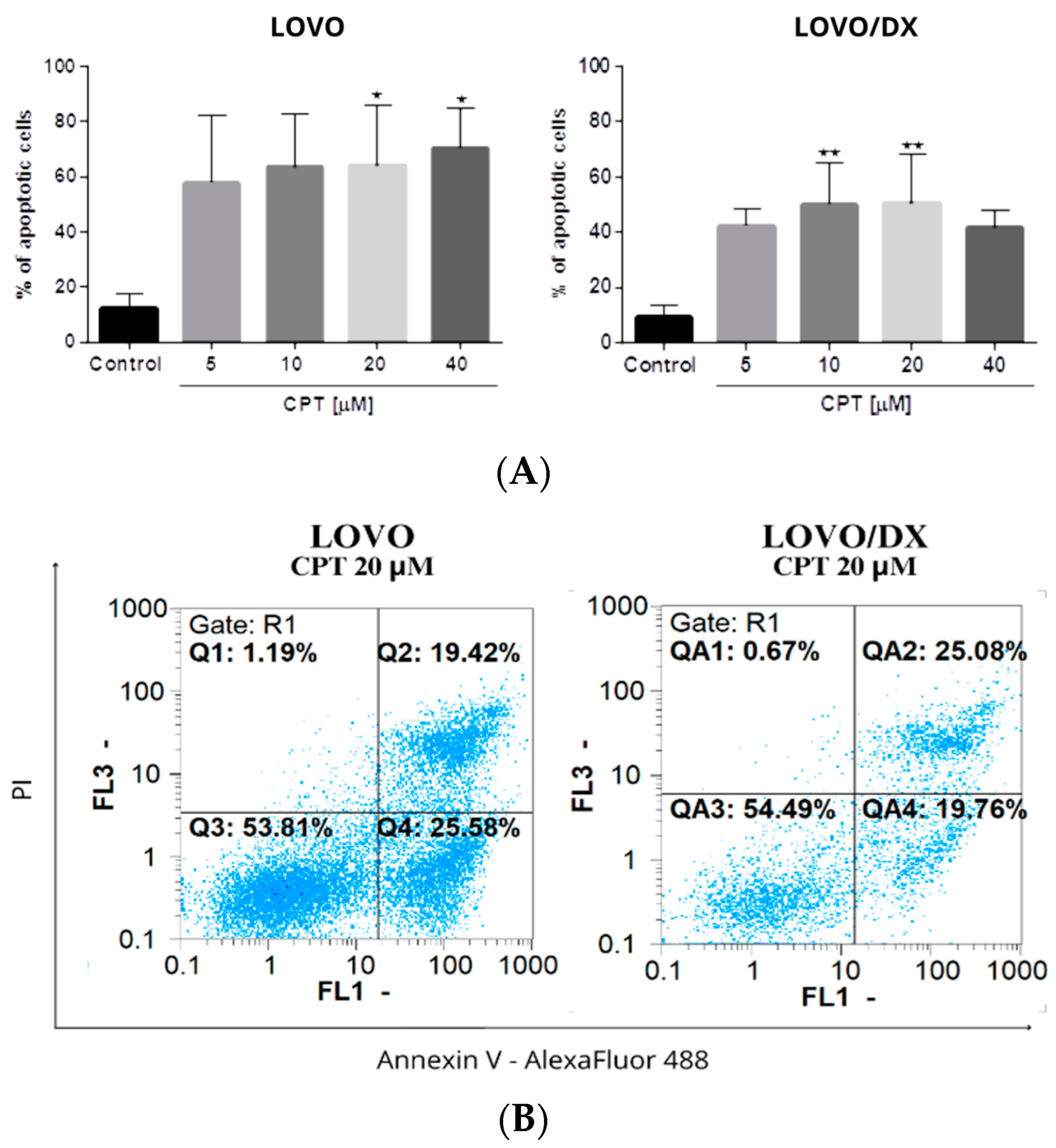 Cancers 16 03279 g008