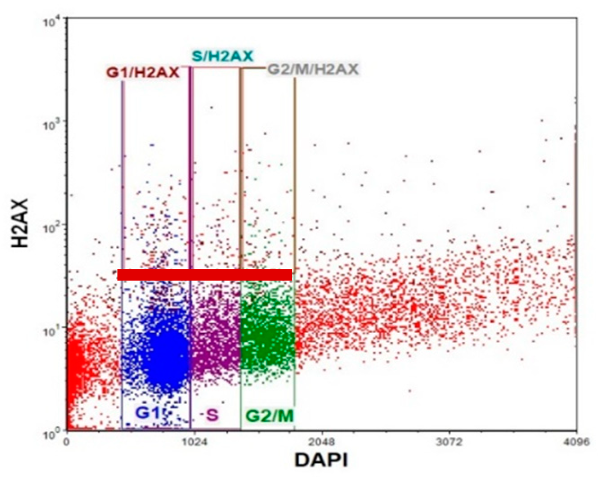 Cancers 16 03279 g012