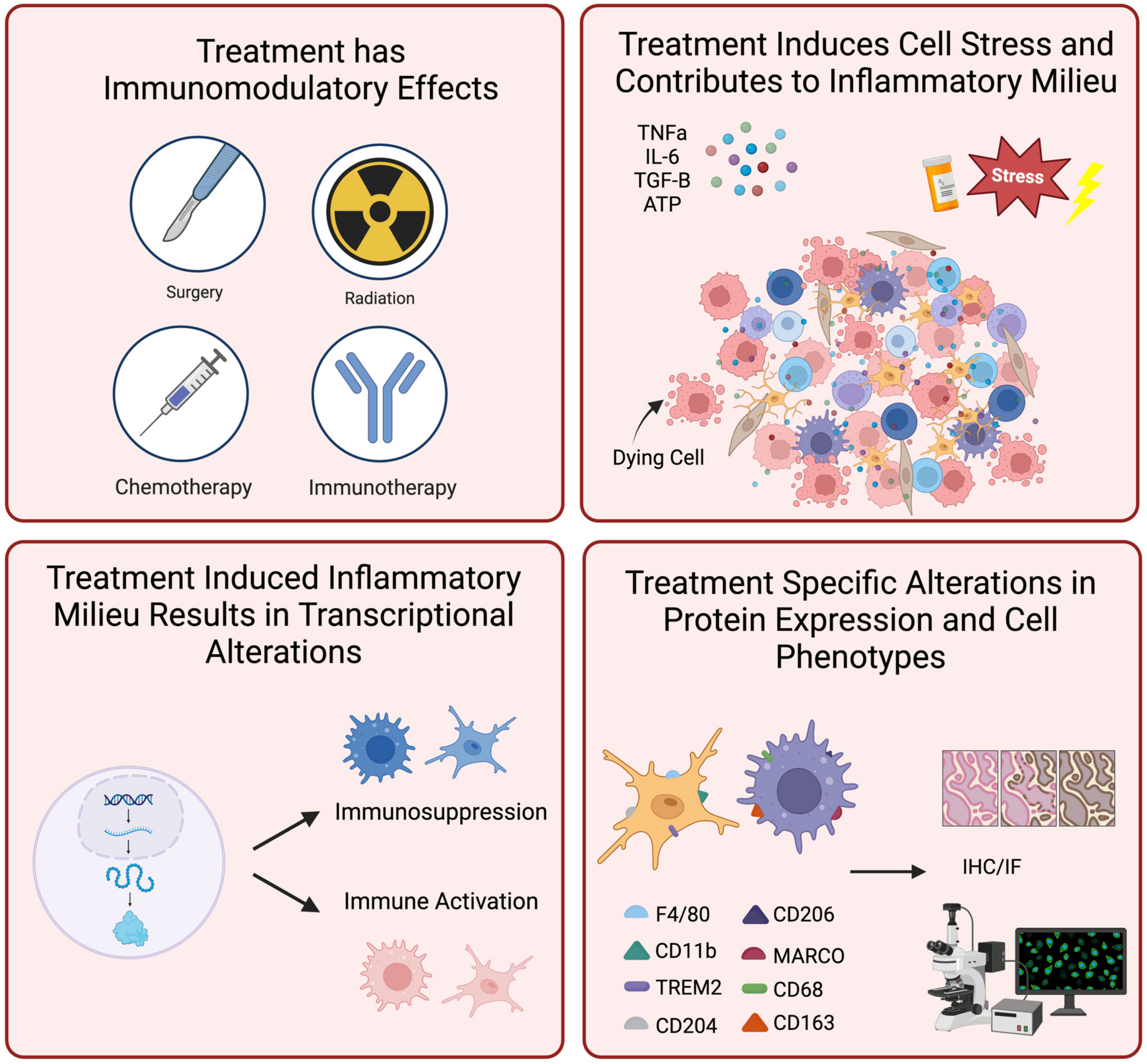 Cancers 16 03283 g003 Cancers 16 03283 g003