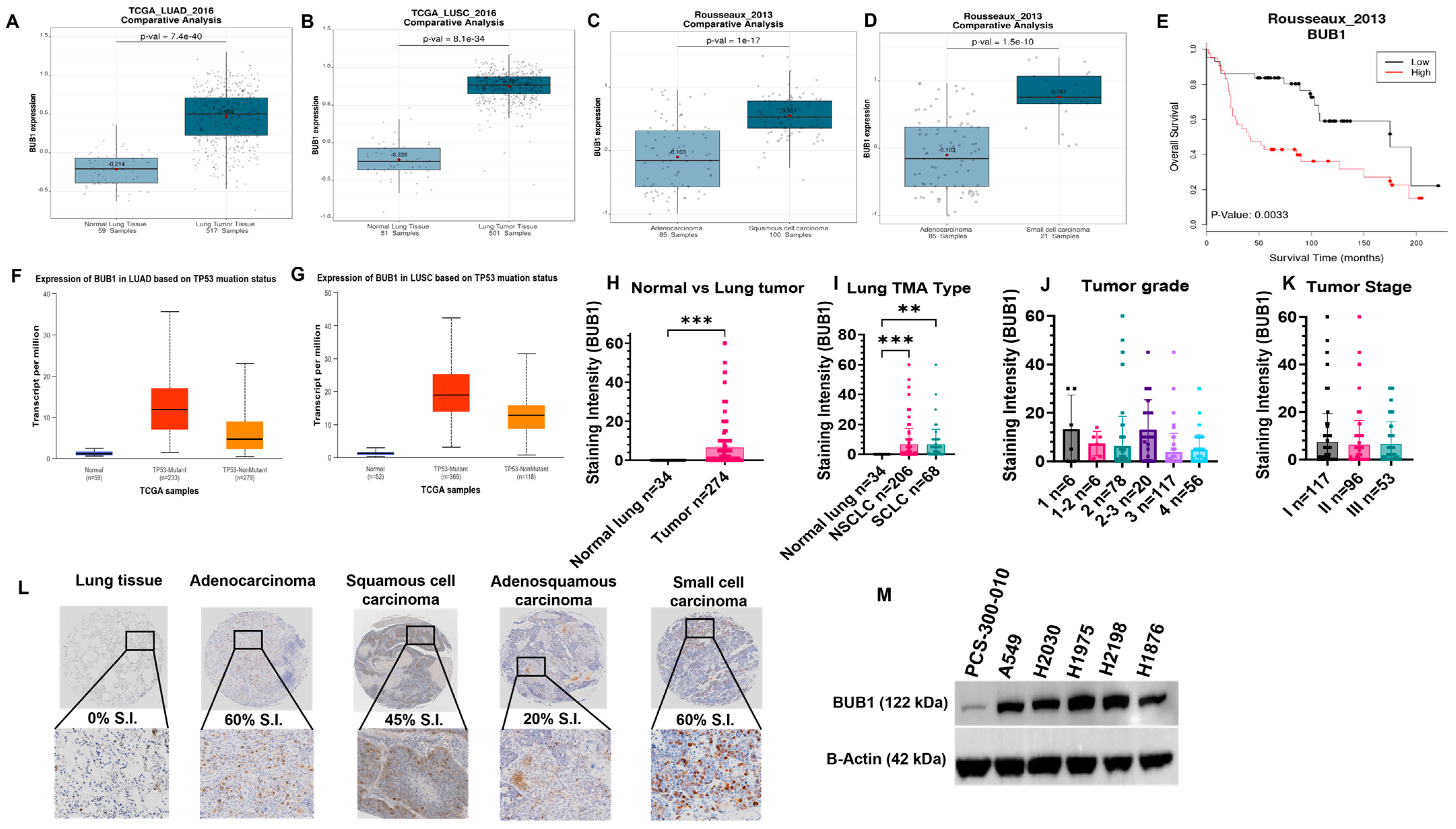 Cancers 16 03291 g001