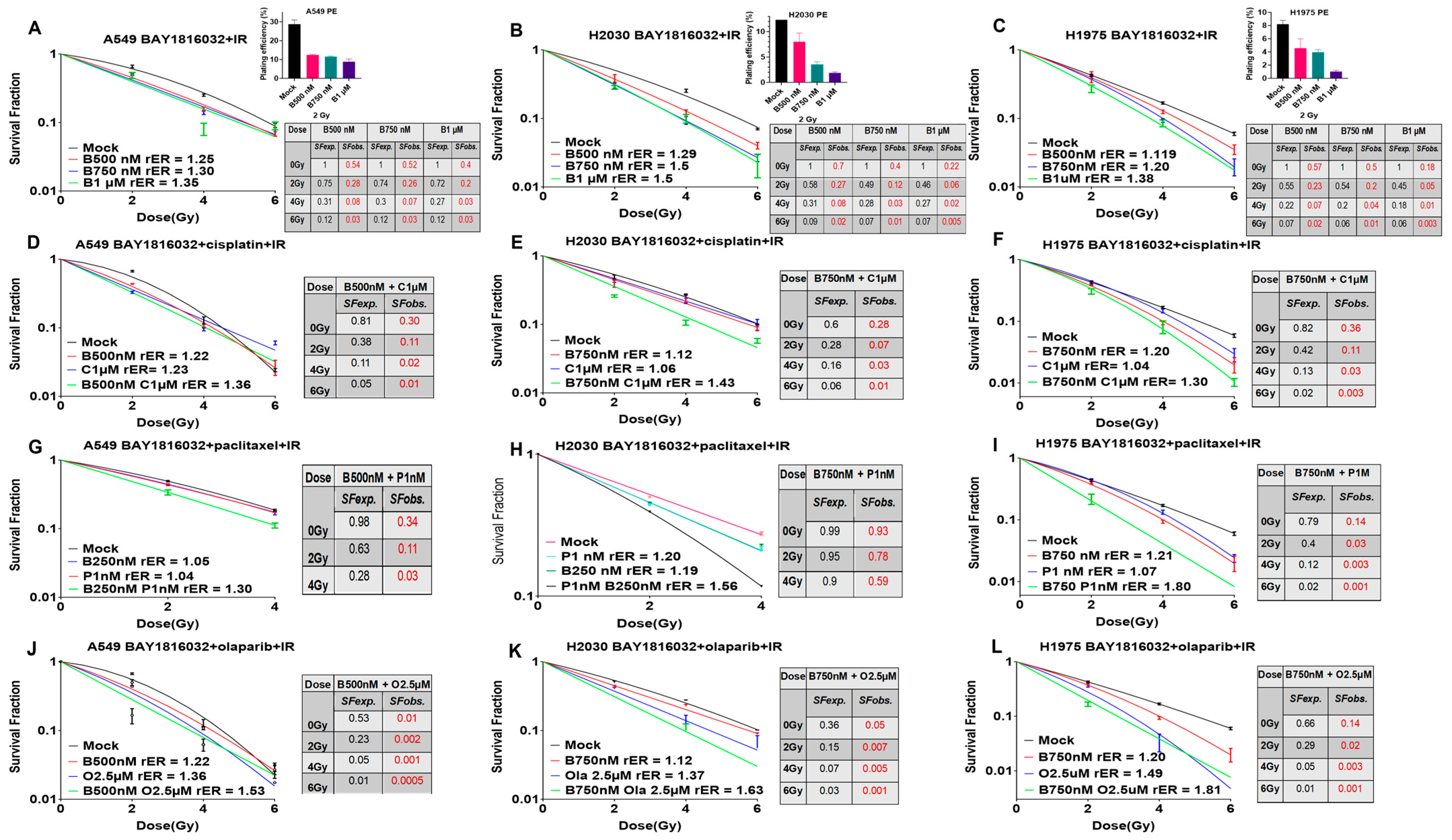 Cancers 16 03291 g006