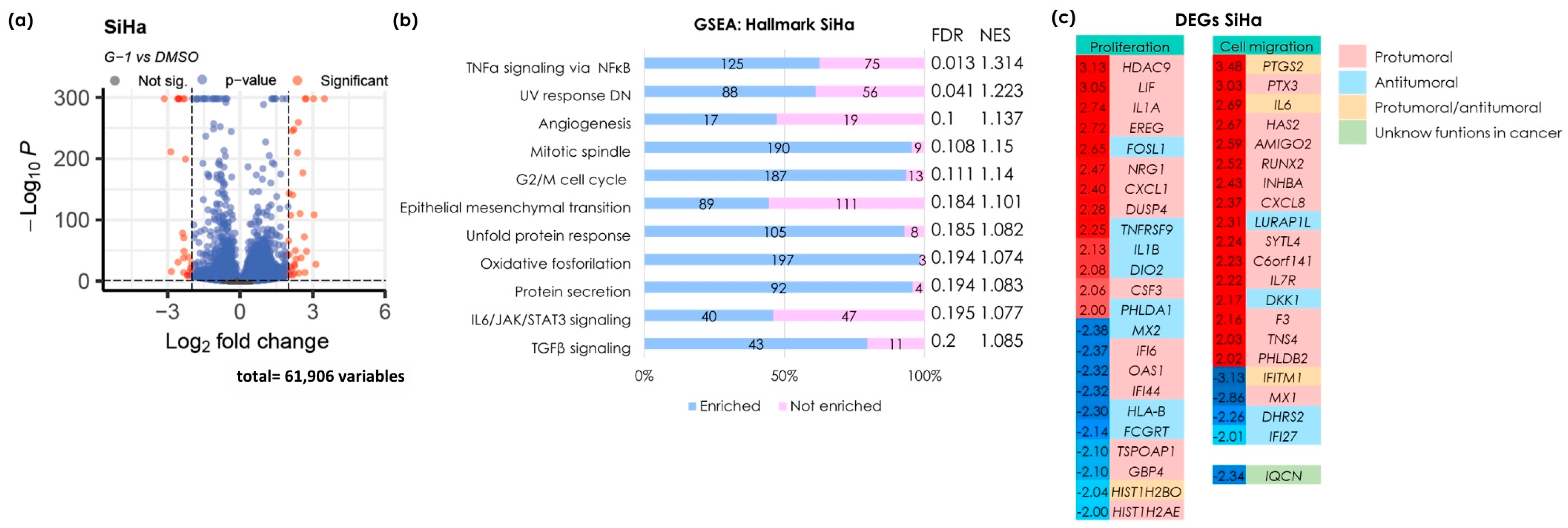 Cancers 16 03292 g001 Cancers 16 03292 g001