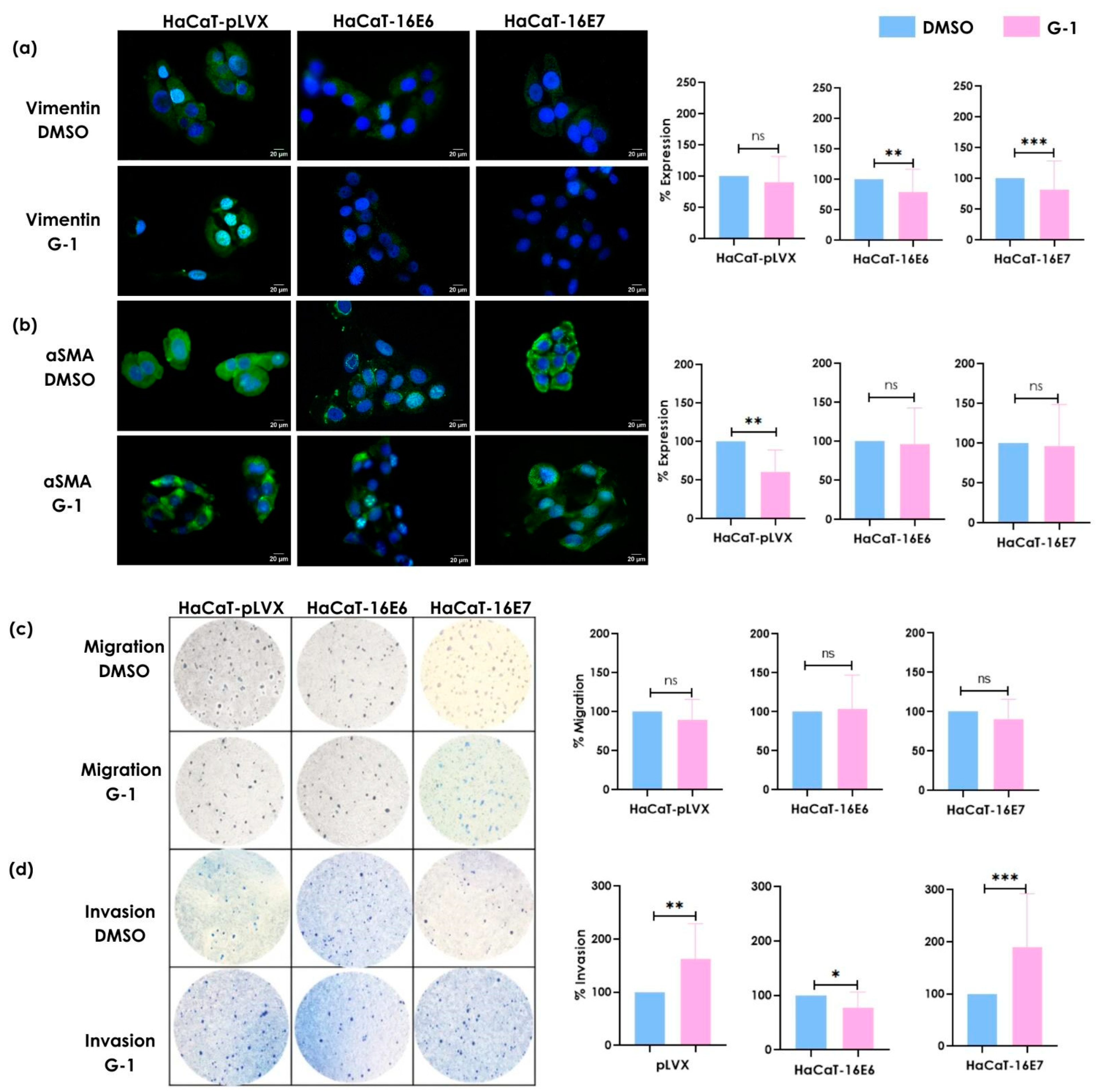 Cancers 16 03292 g003 Cancers 16 03292 g003