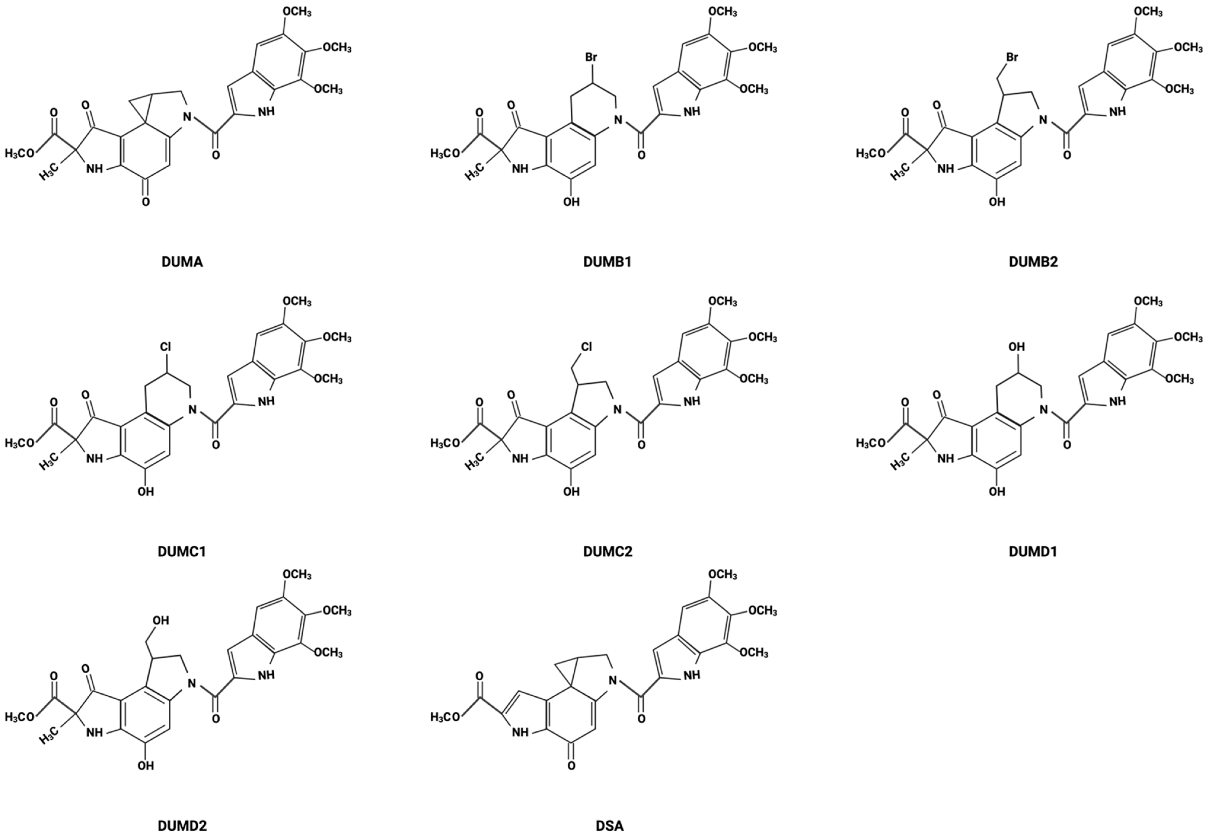 Cancers 16 03293 g001