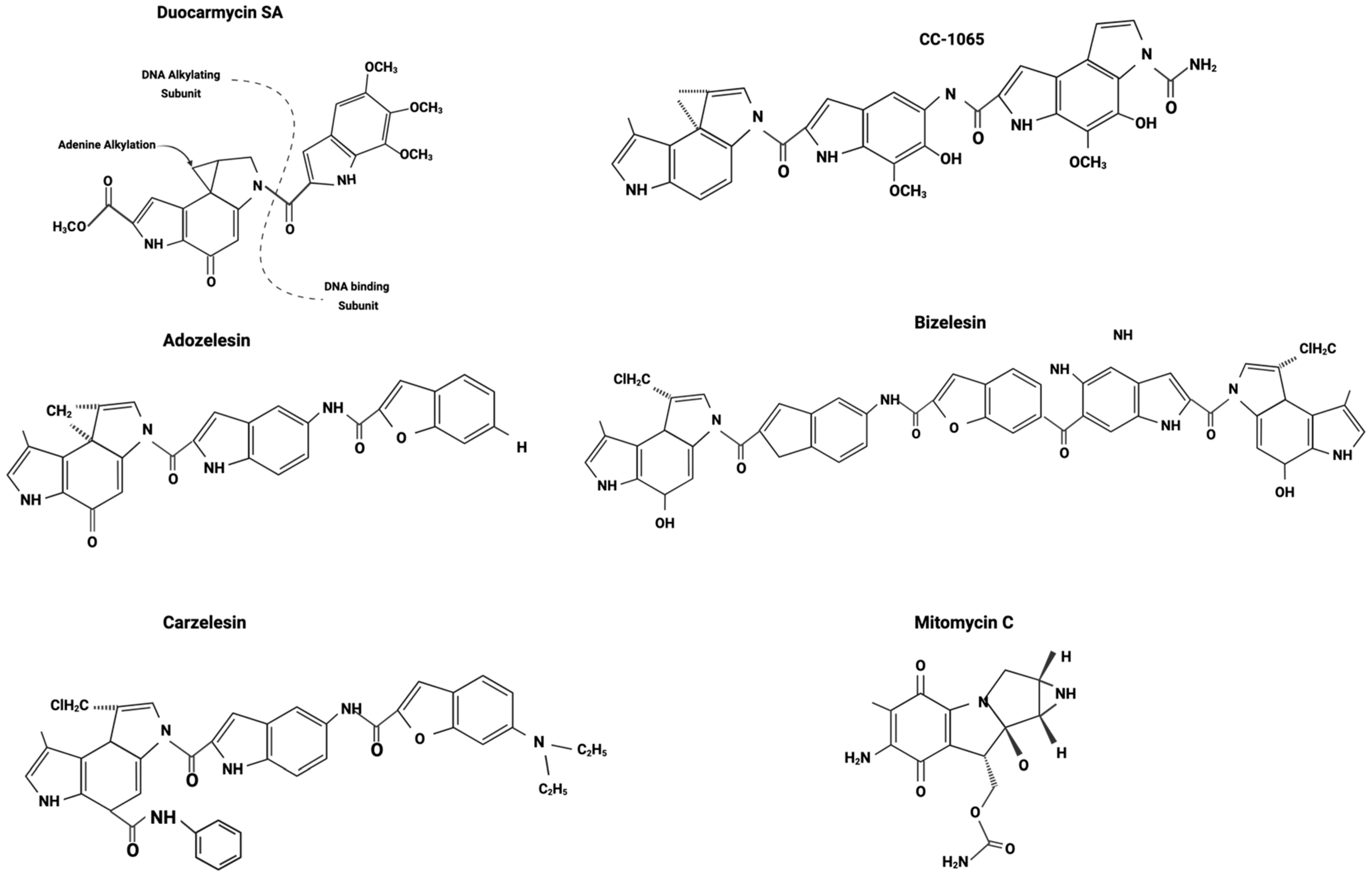 Cancers 16 03293 g003