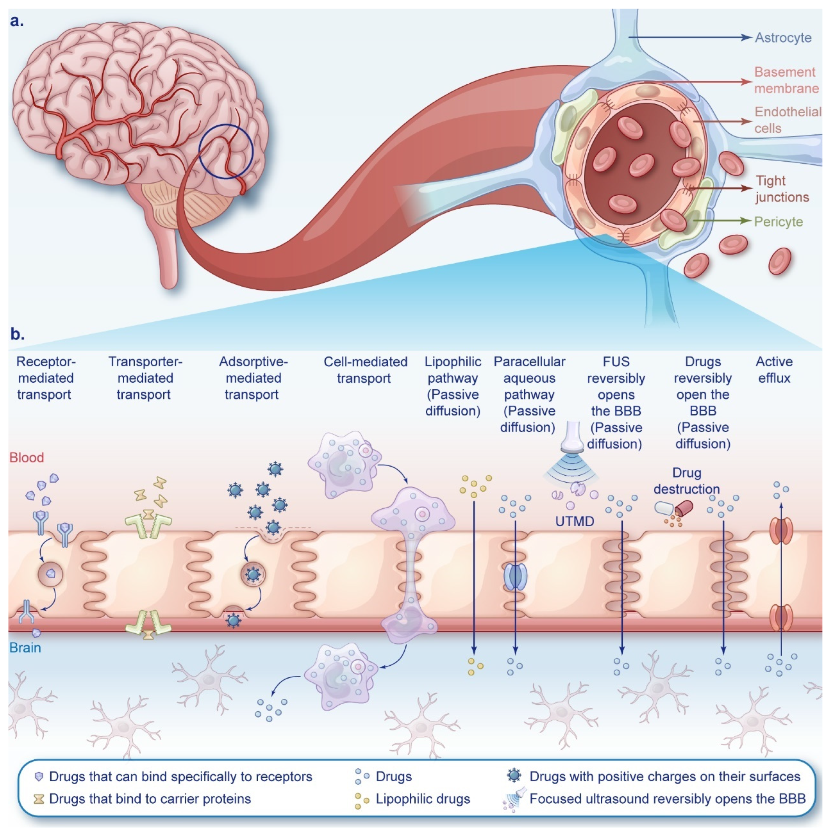 Cancers 16 03300 g002