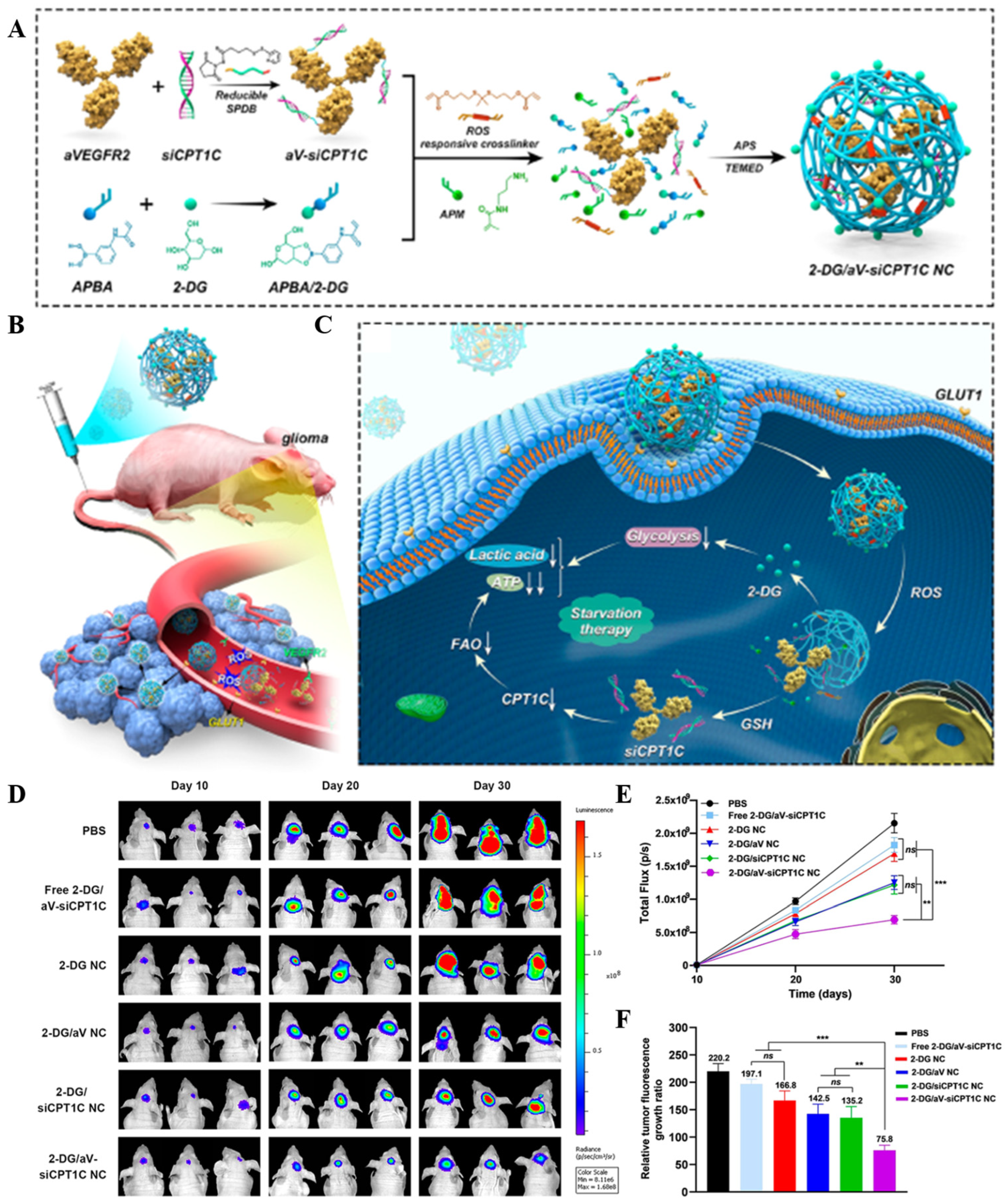 Cancers 16 03300 g004