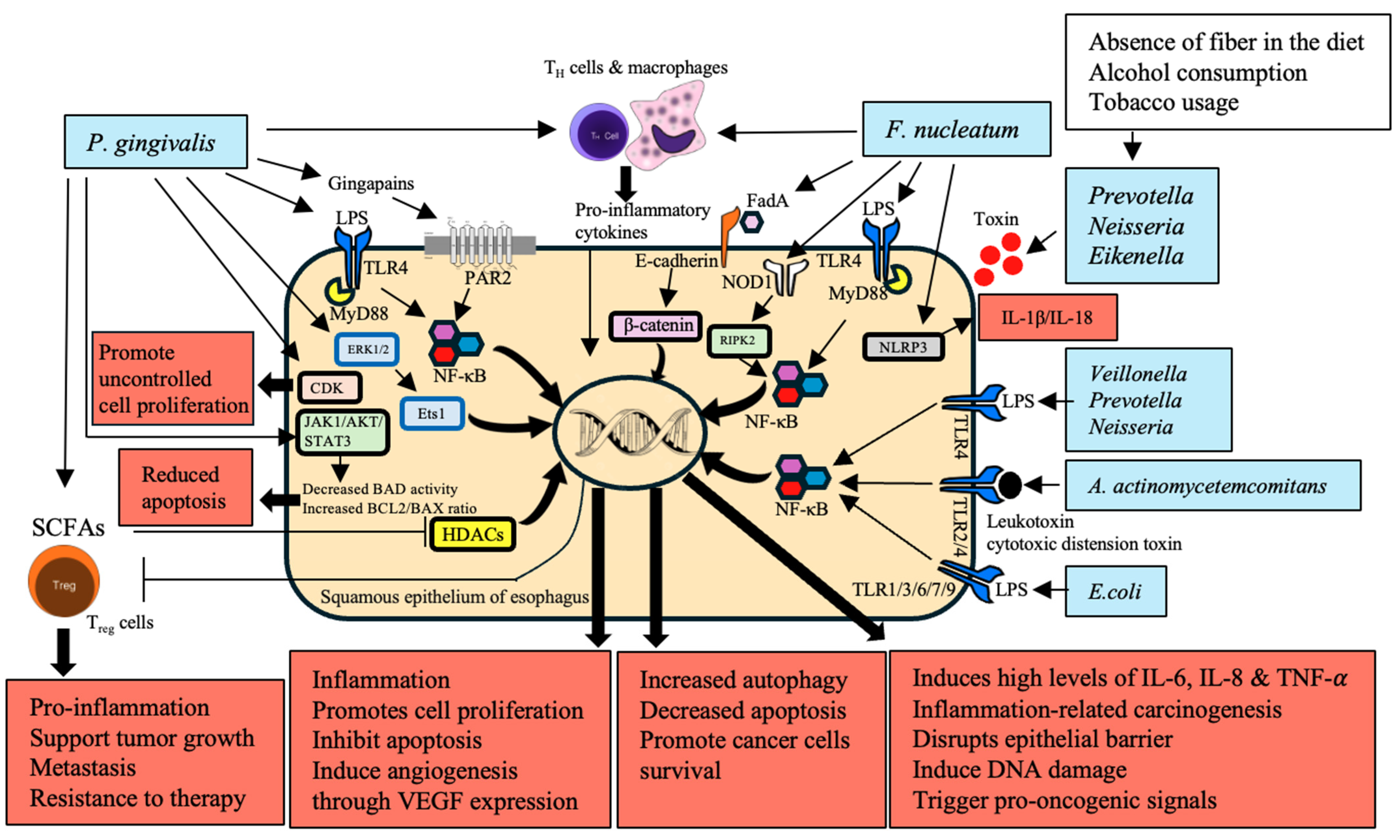 Cancers 16 03305 g002
