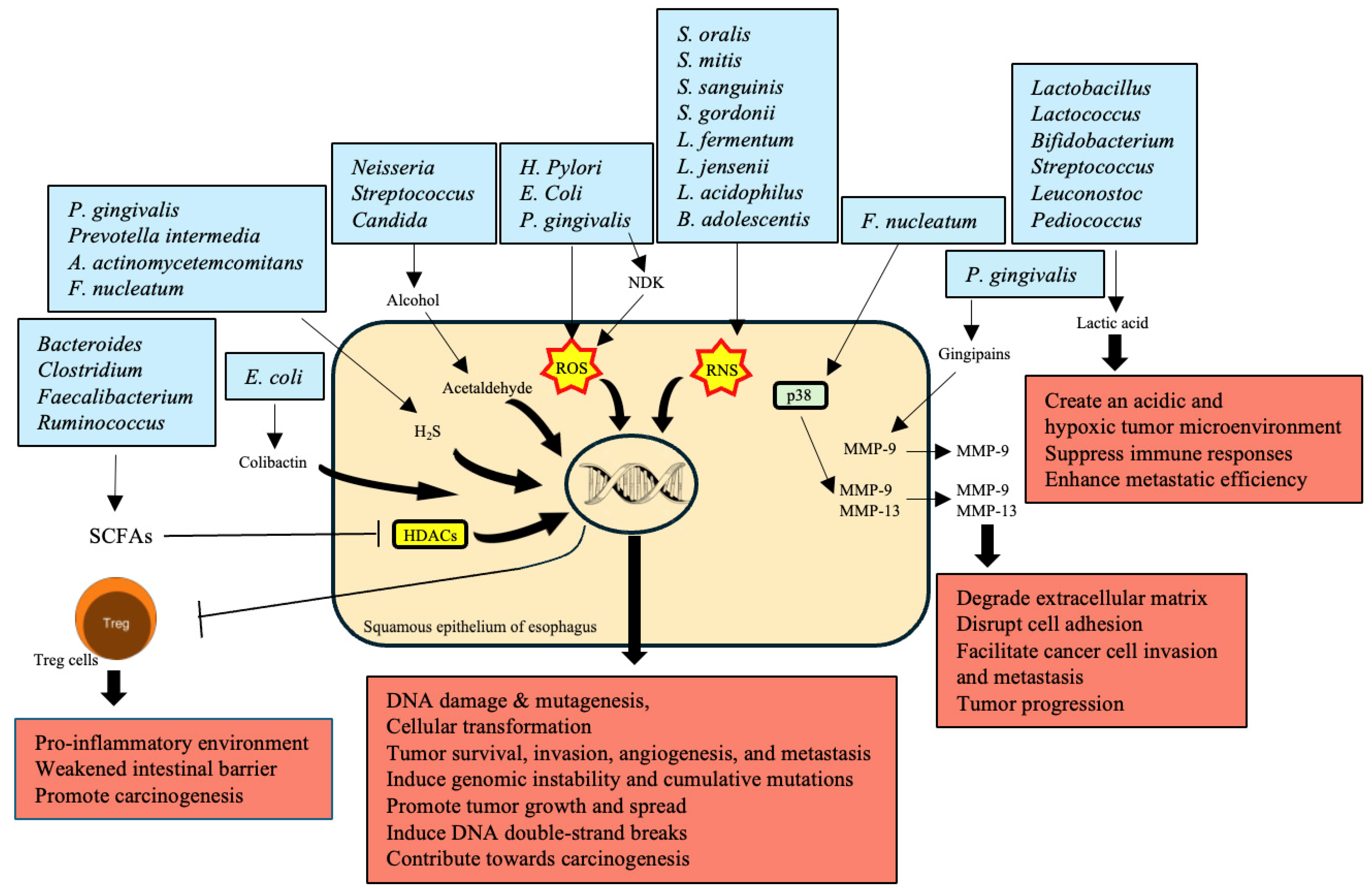 Cancers 16 03305 g003