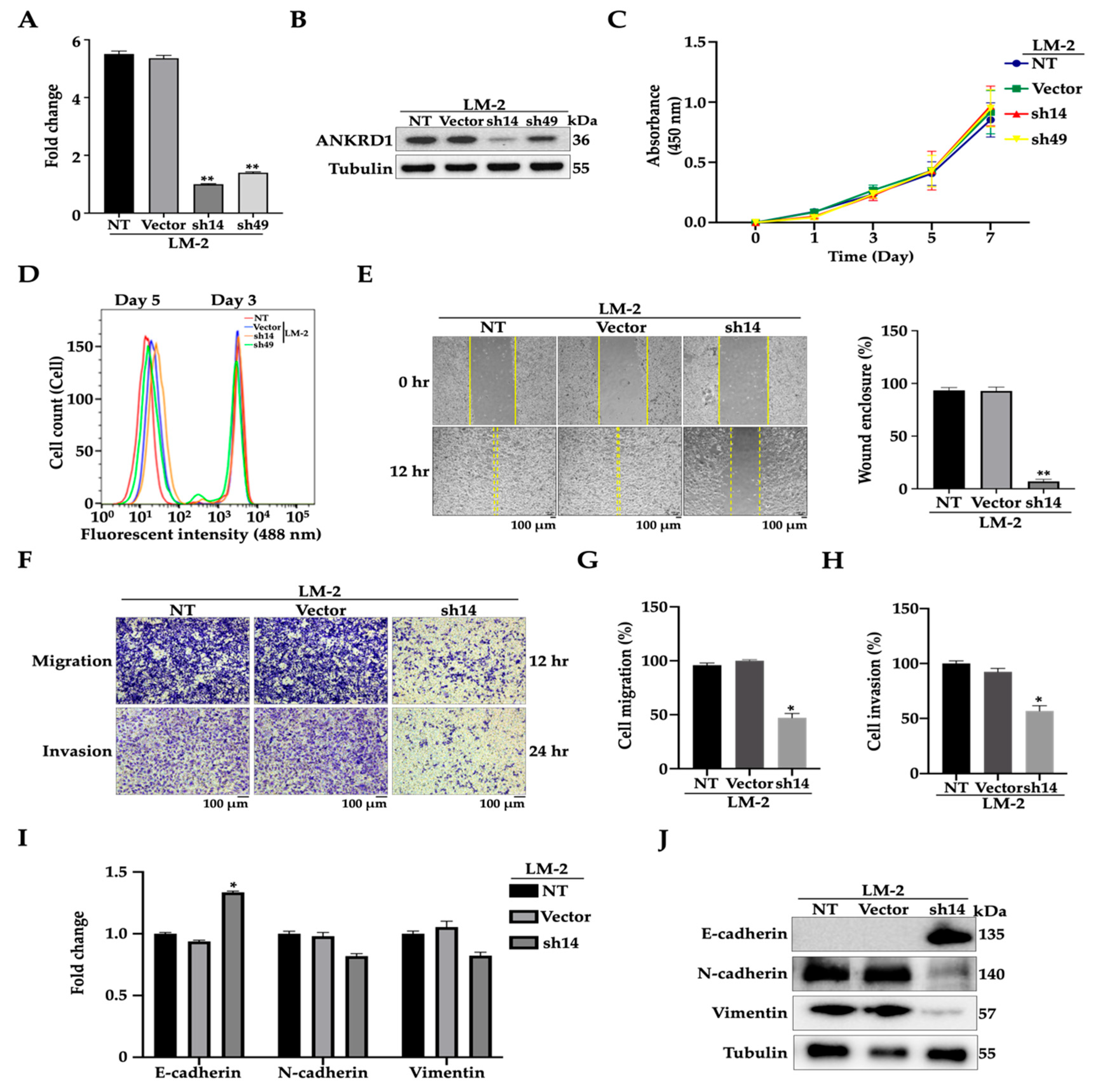 Cancers 16 03306 g003