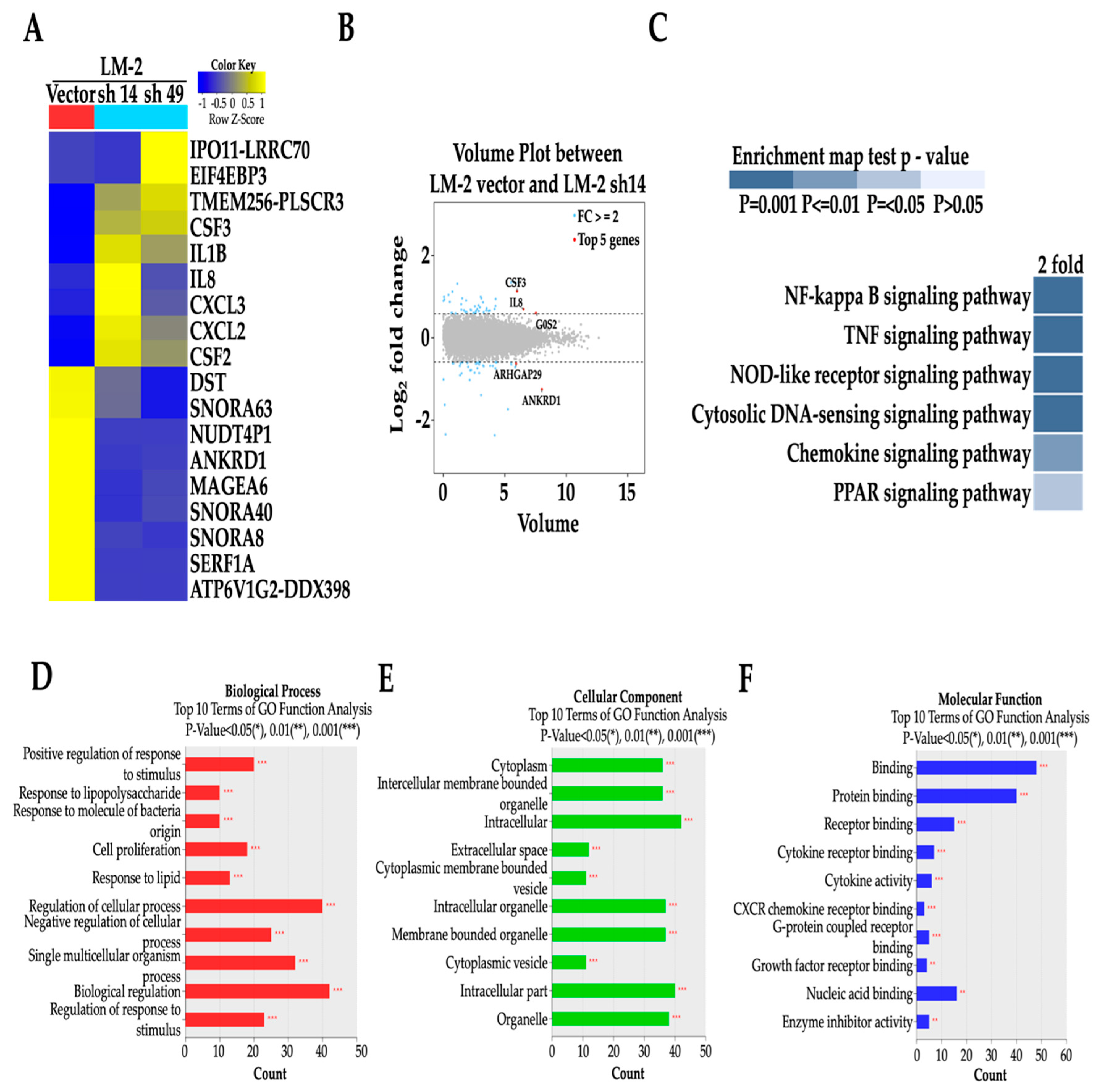 Cancers 16 03306 g005
