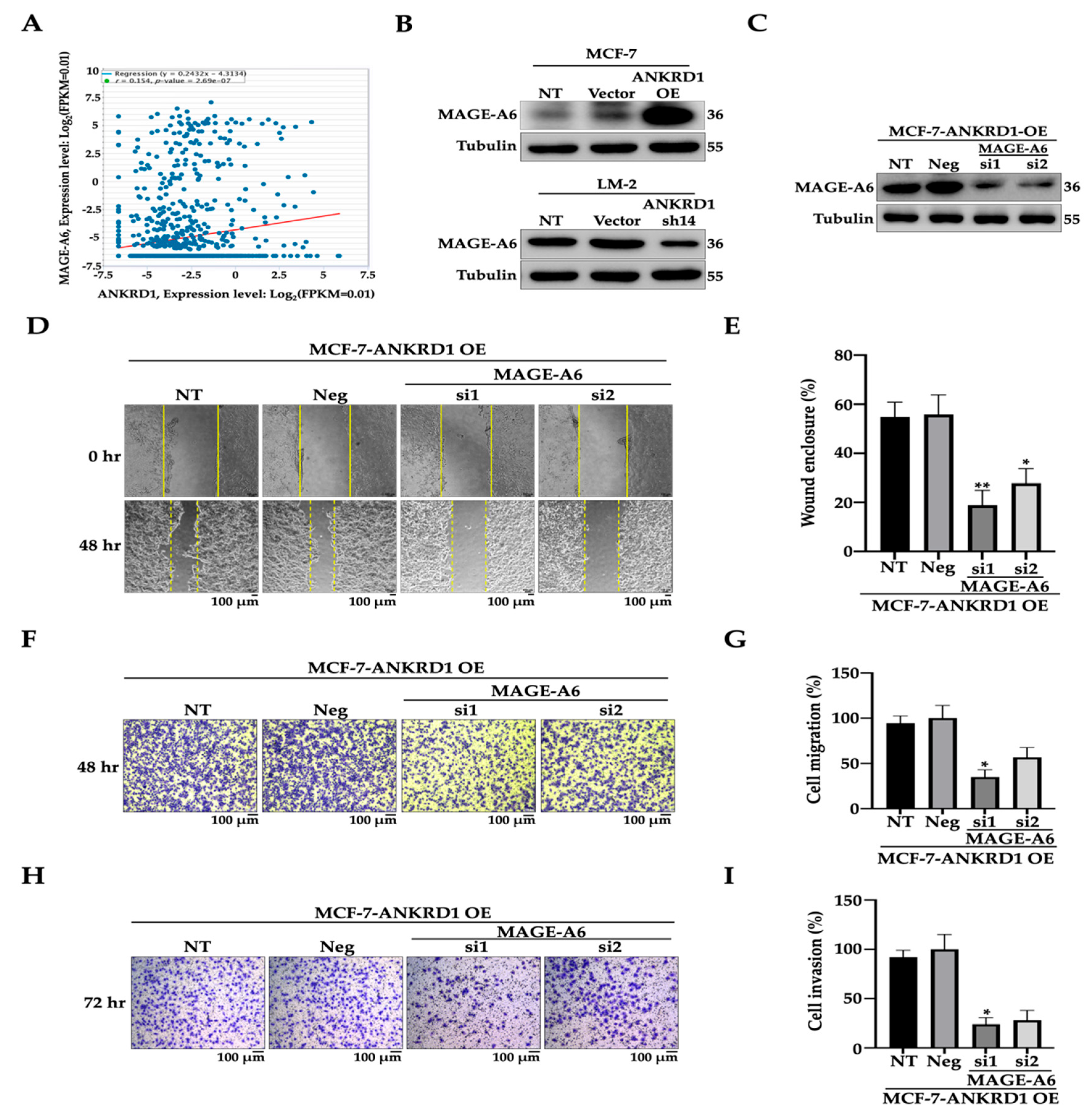 Cancers 16 03306 g006