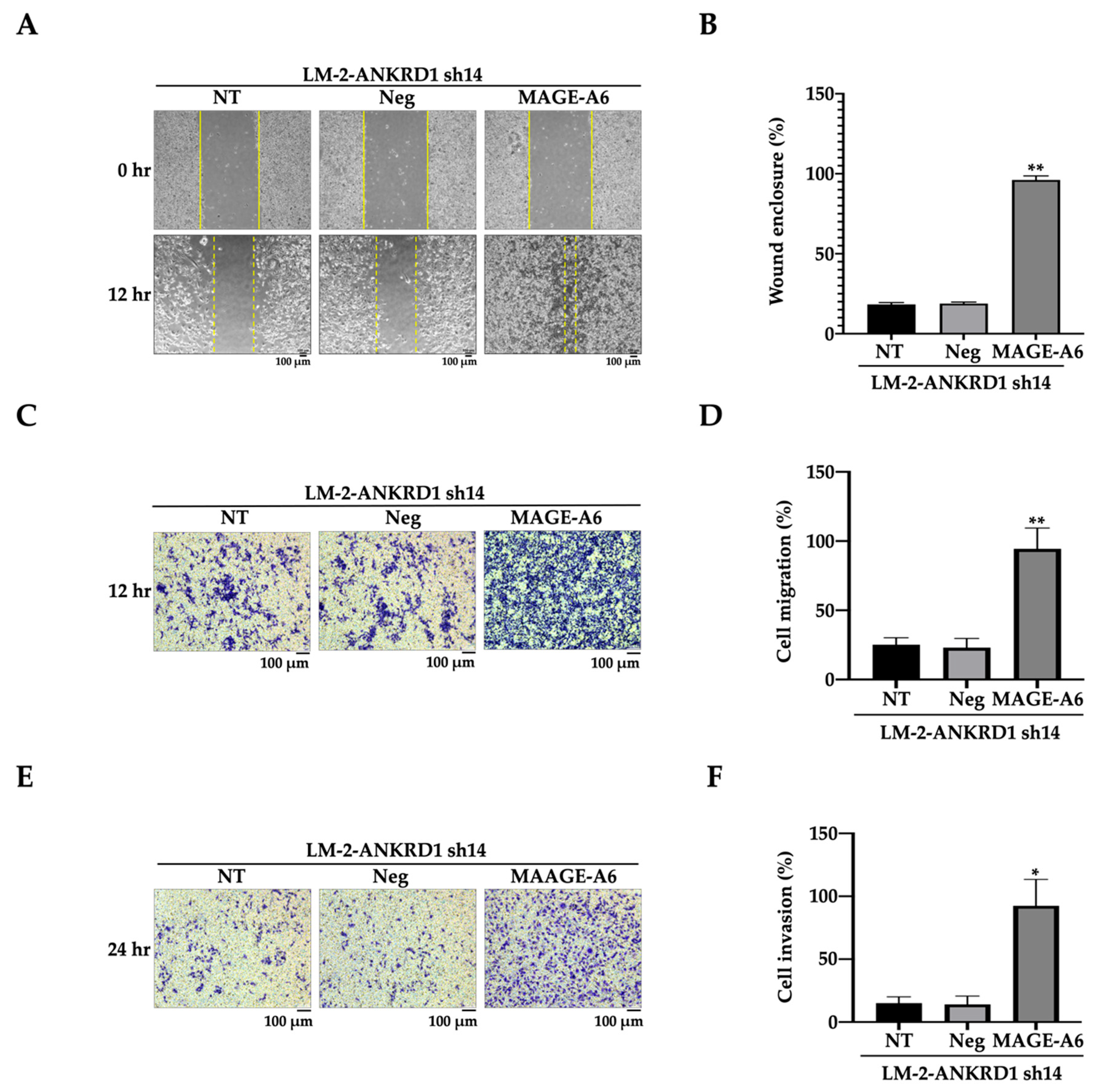Cancers 16 03306 g007