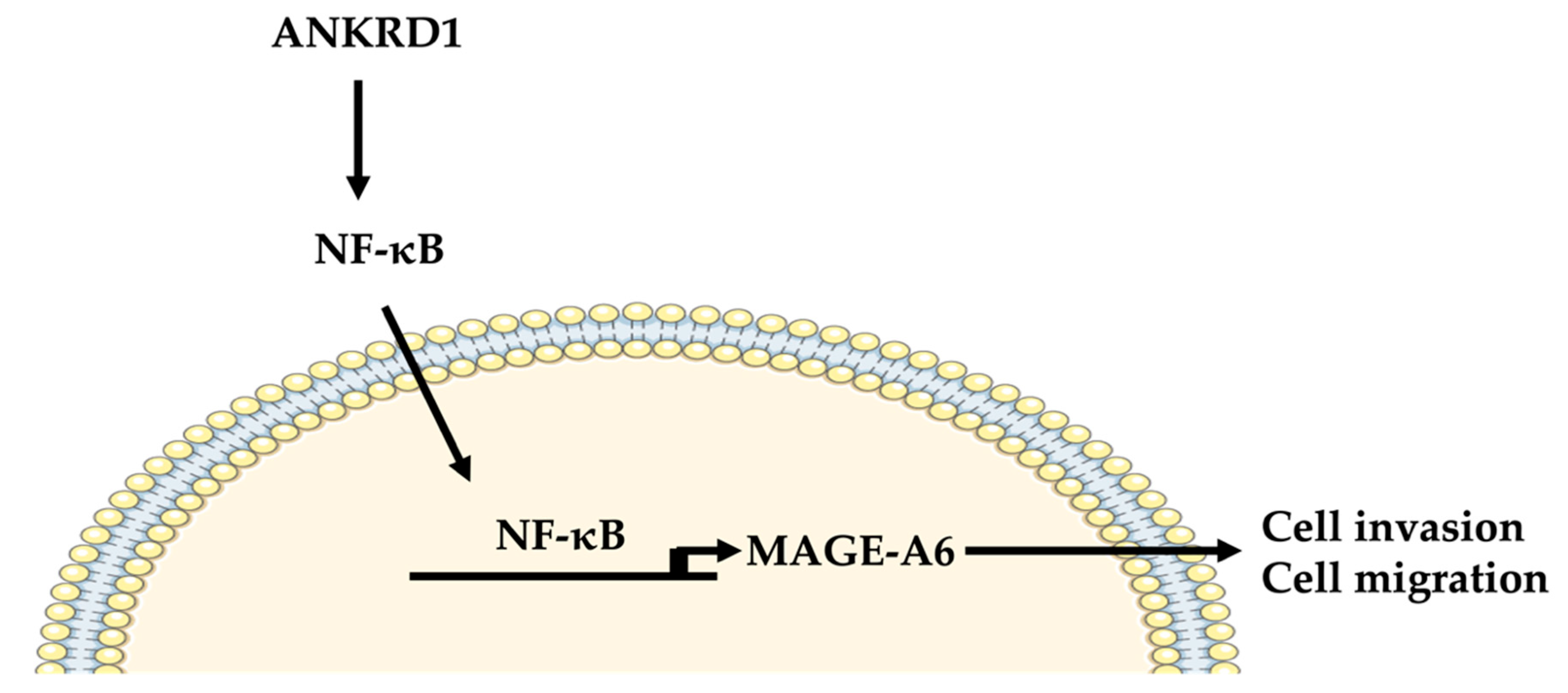 Cancers 16 03306 g009