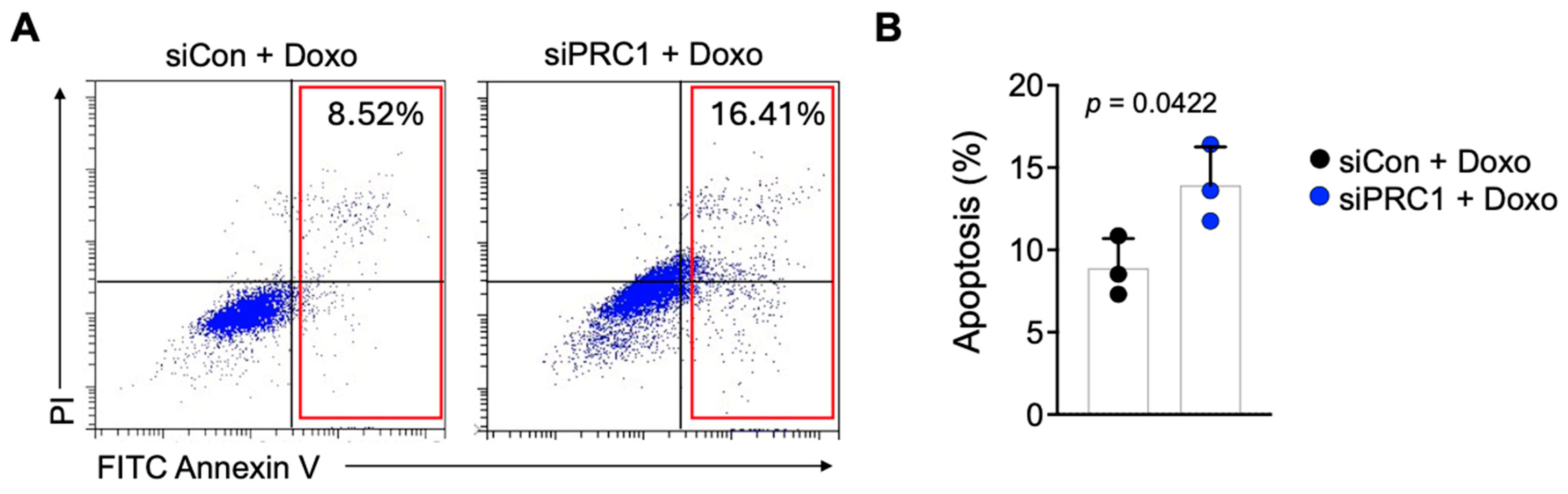 Cancers 16 03310 g007
