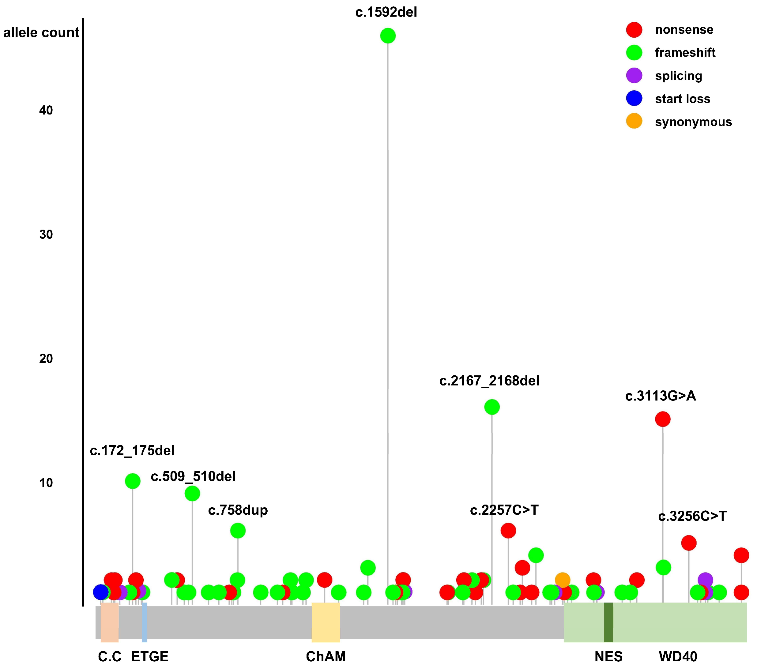 Cancers 16 03318 g001