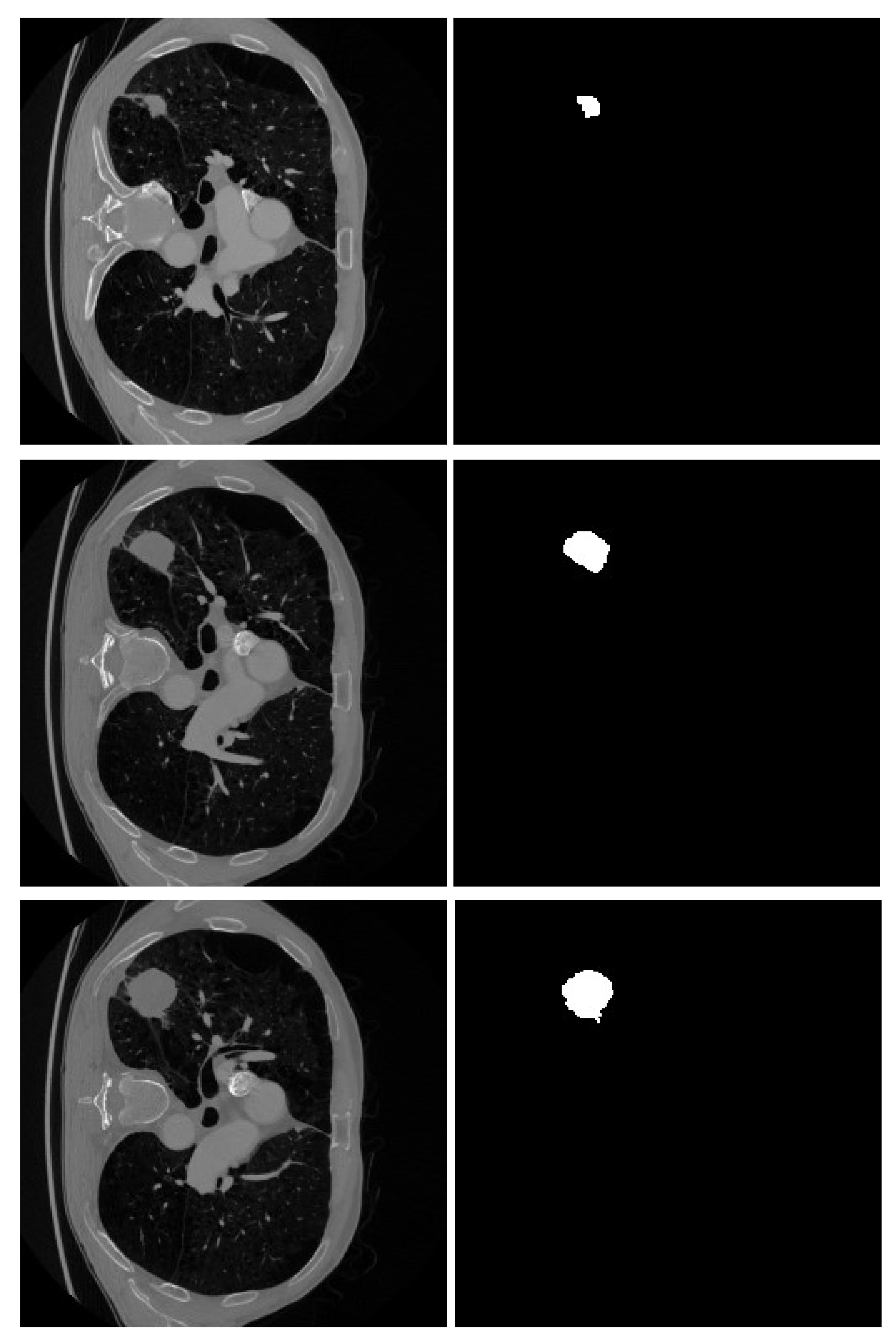 Cancers 16 03321 g002