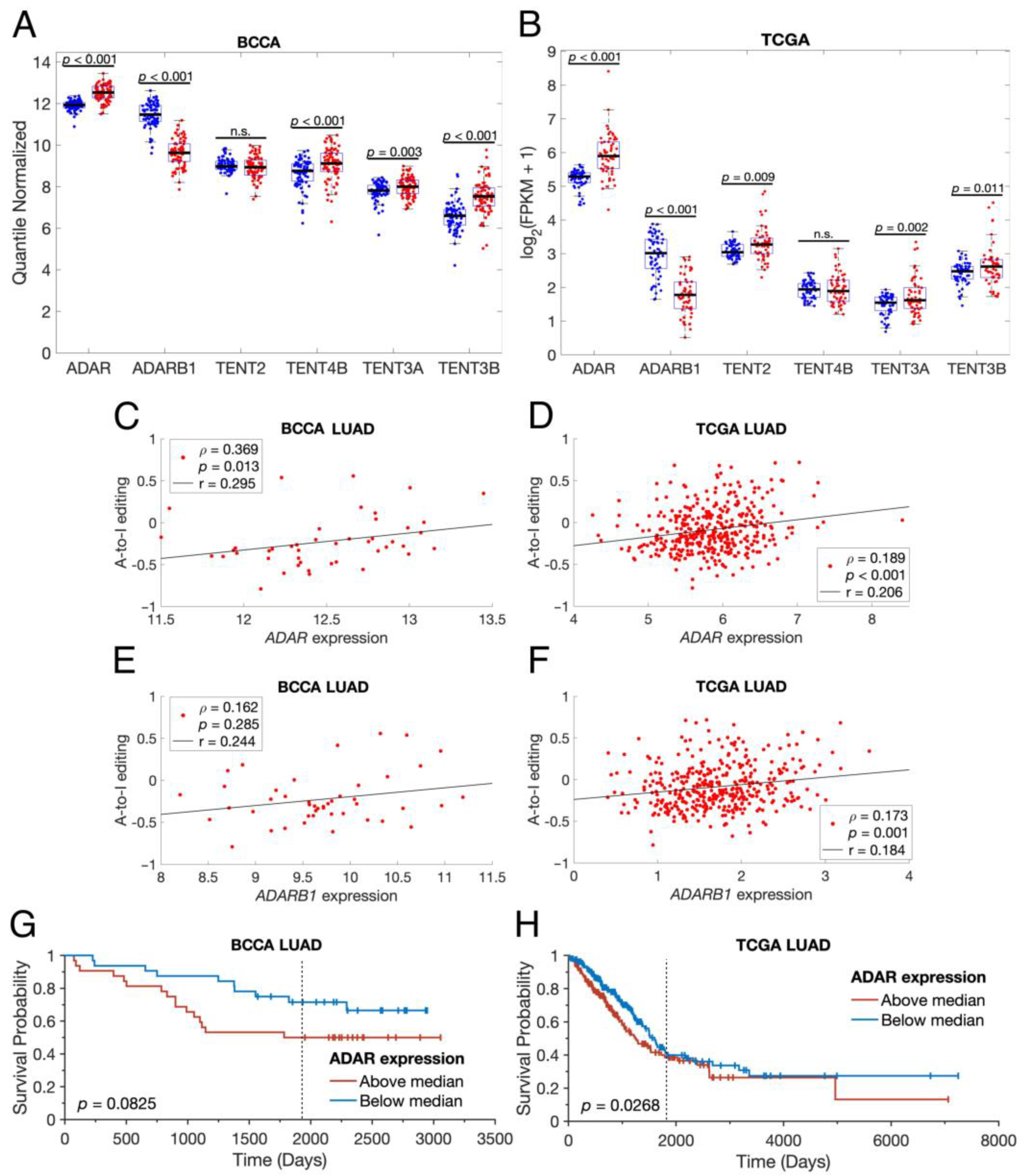 Cancers 16 03322 g003