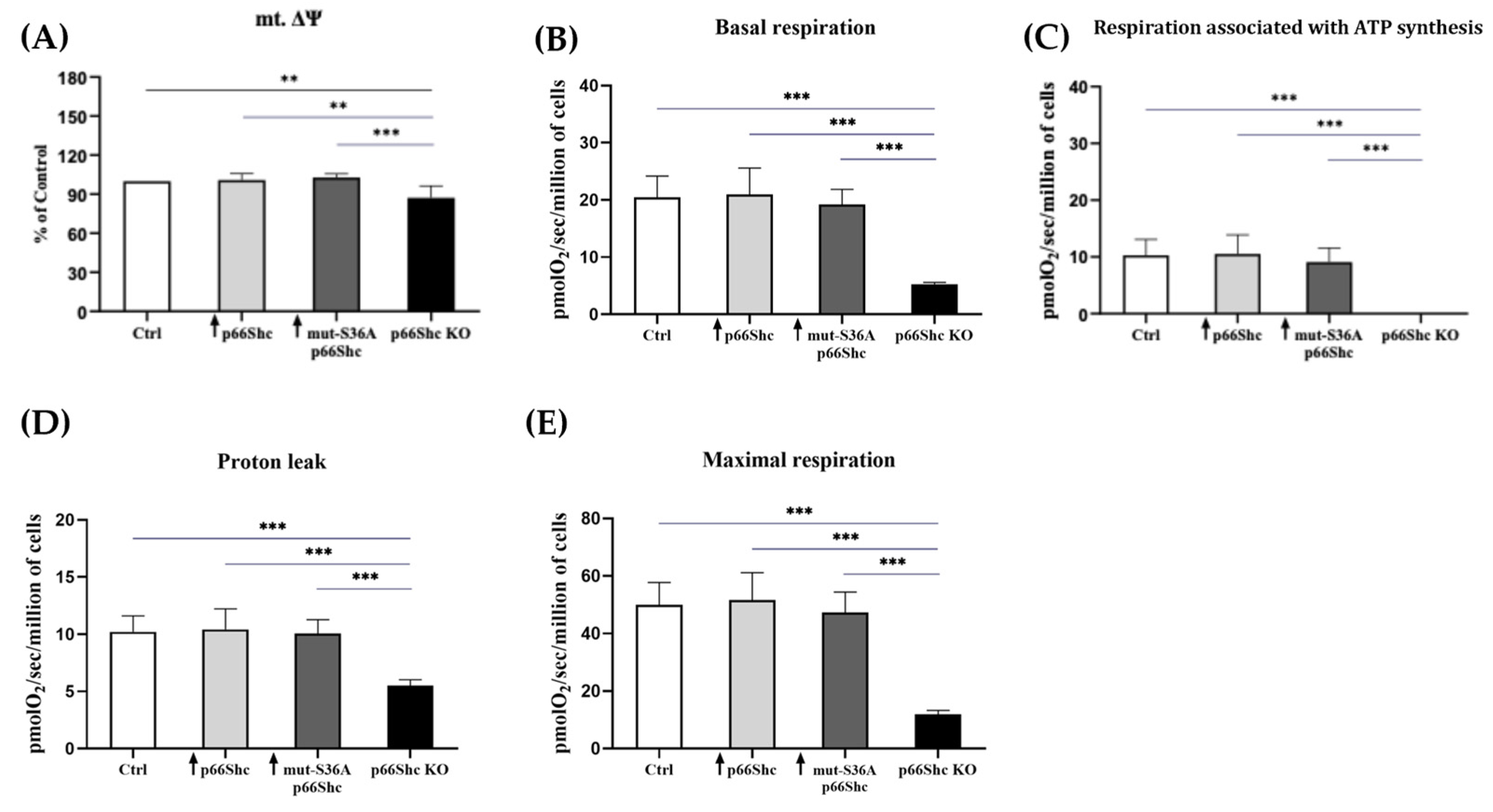 Cancers 16 03324 g005