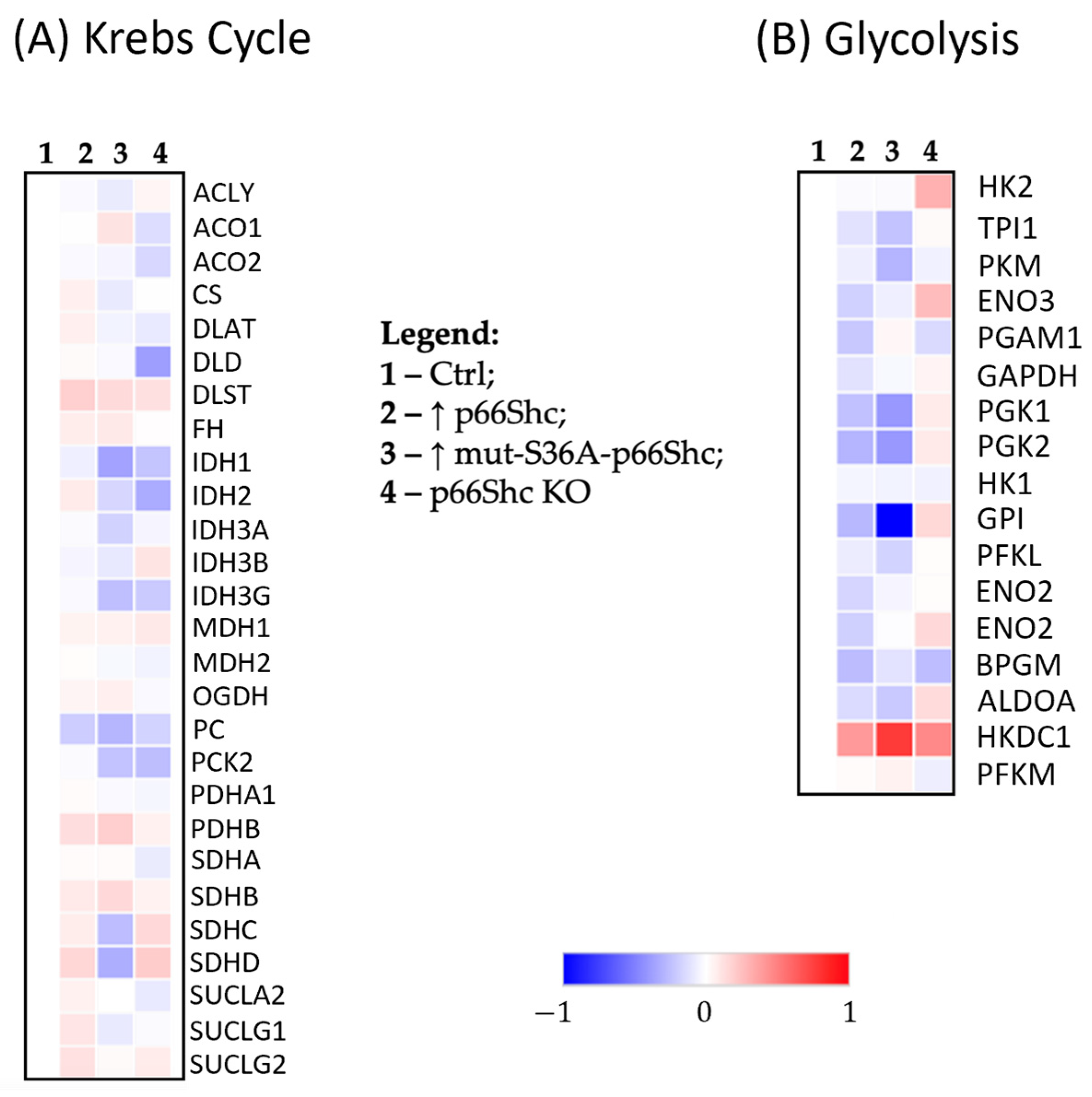Cancers 16 03324 g007