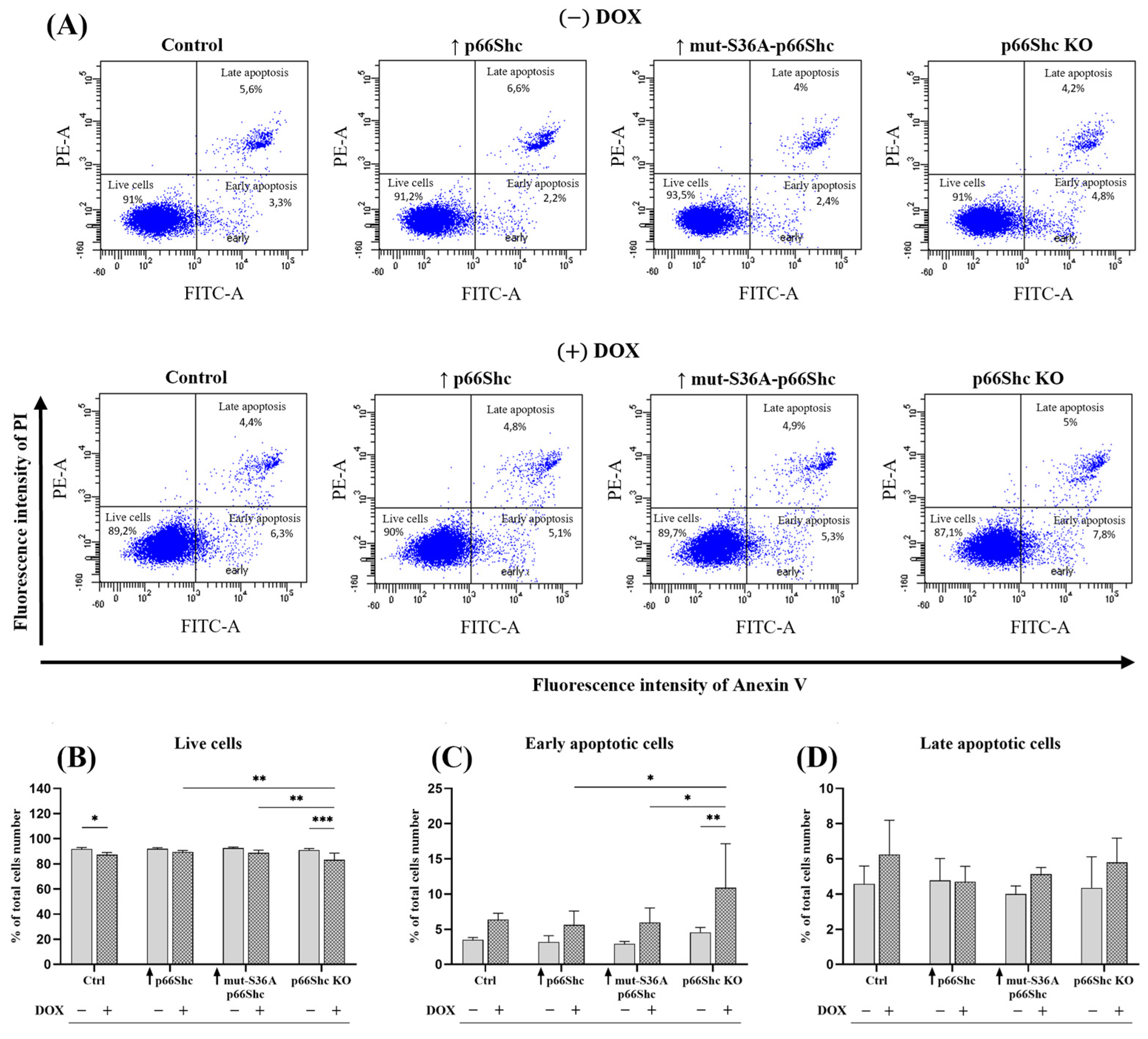 Cancers 16 03324 g008