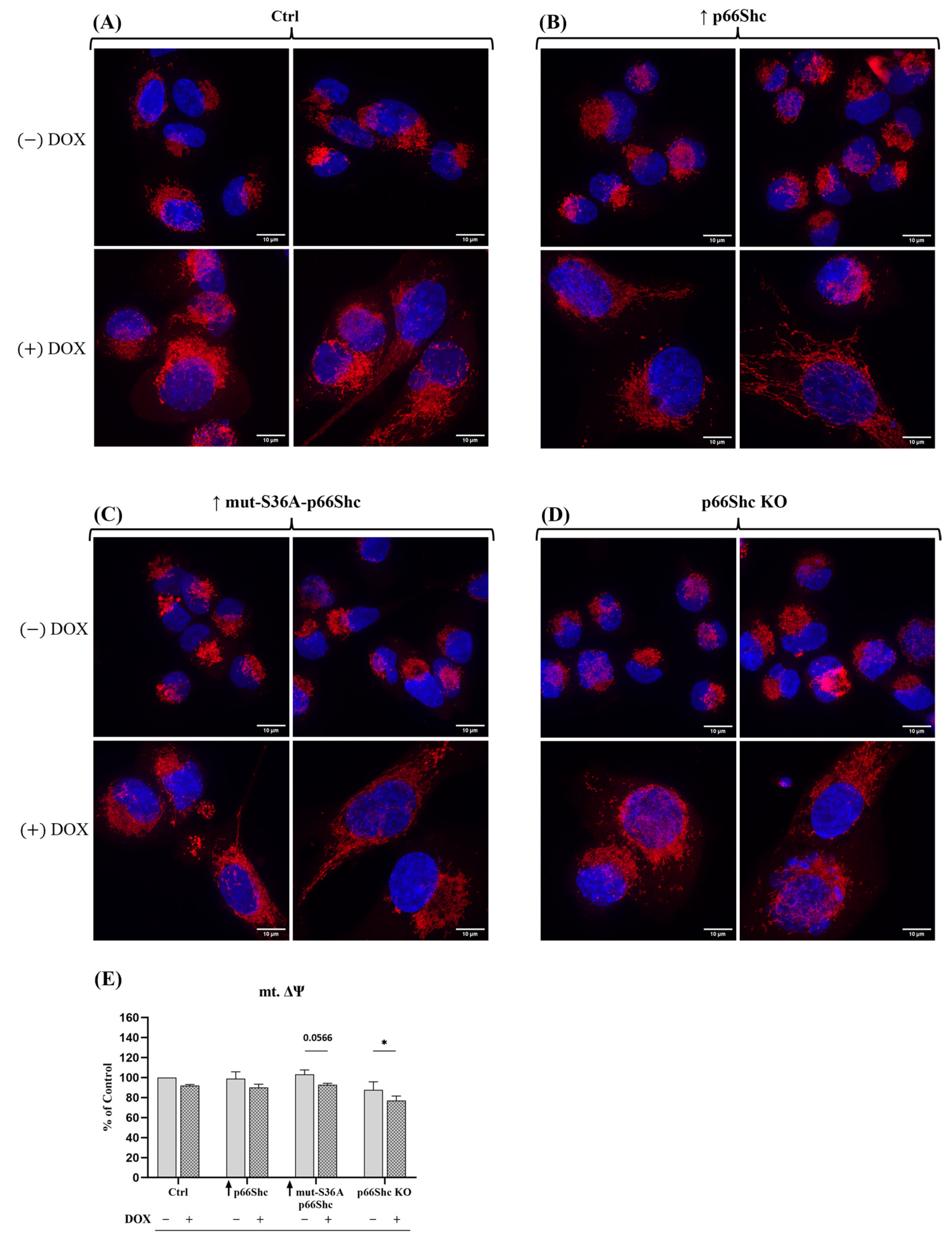 Cancers 16 03324 g009