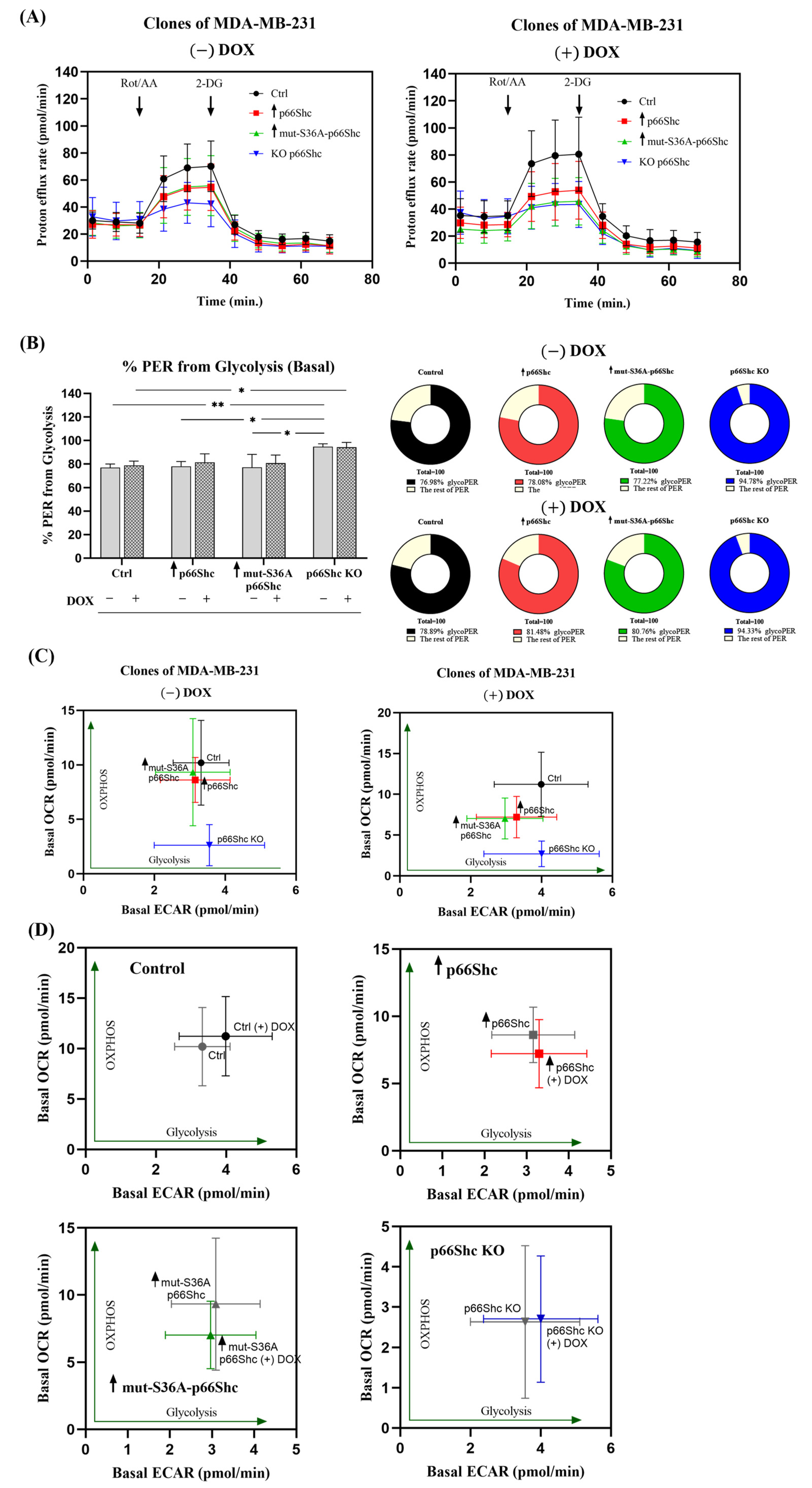 Cancers 16 03324 g010