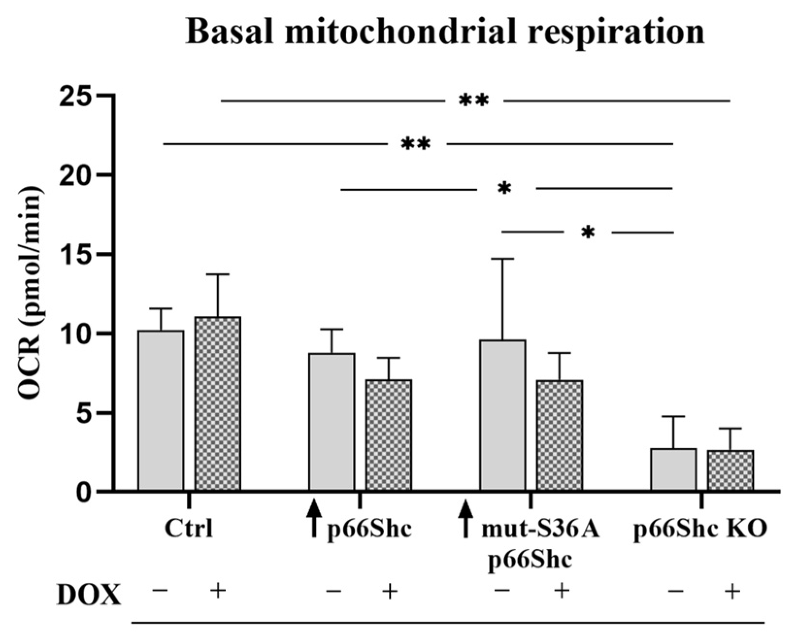 Cancers 16 03324 g011