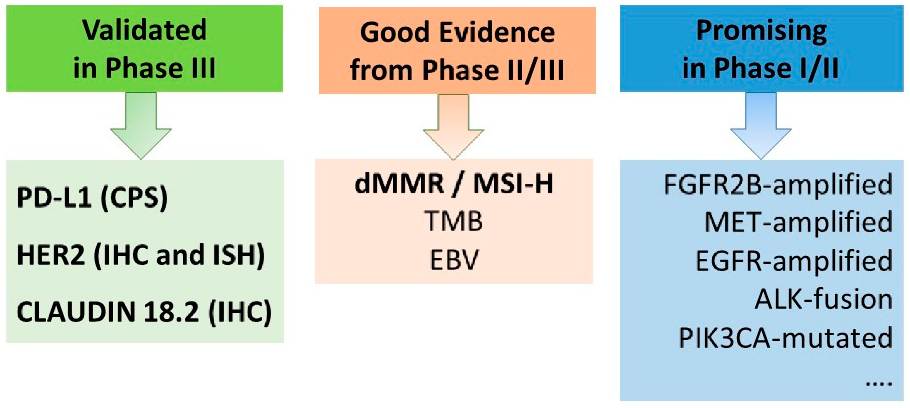 Cancers 16 03337 g001