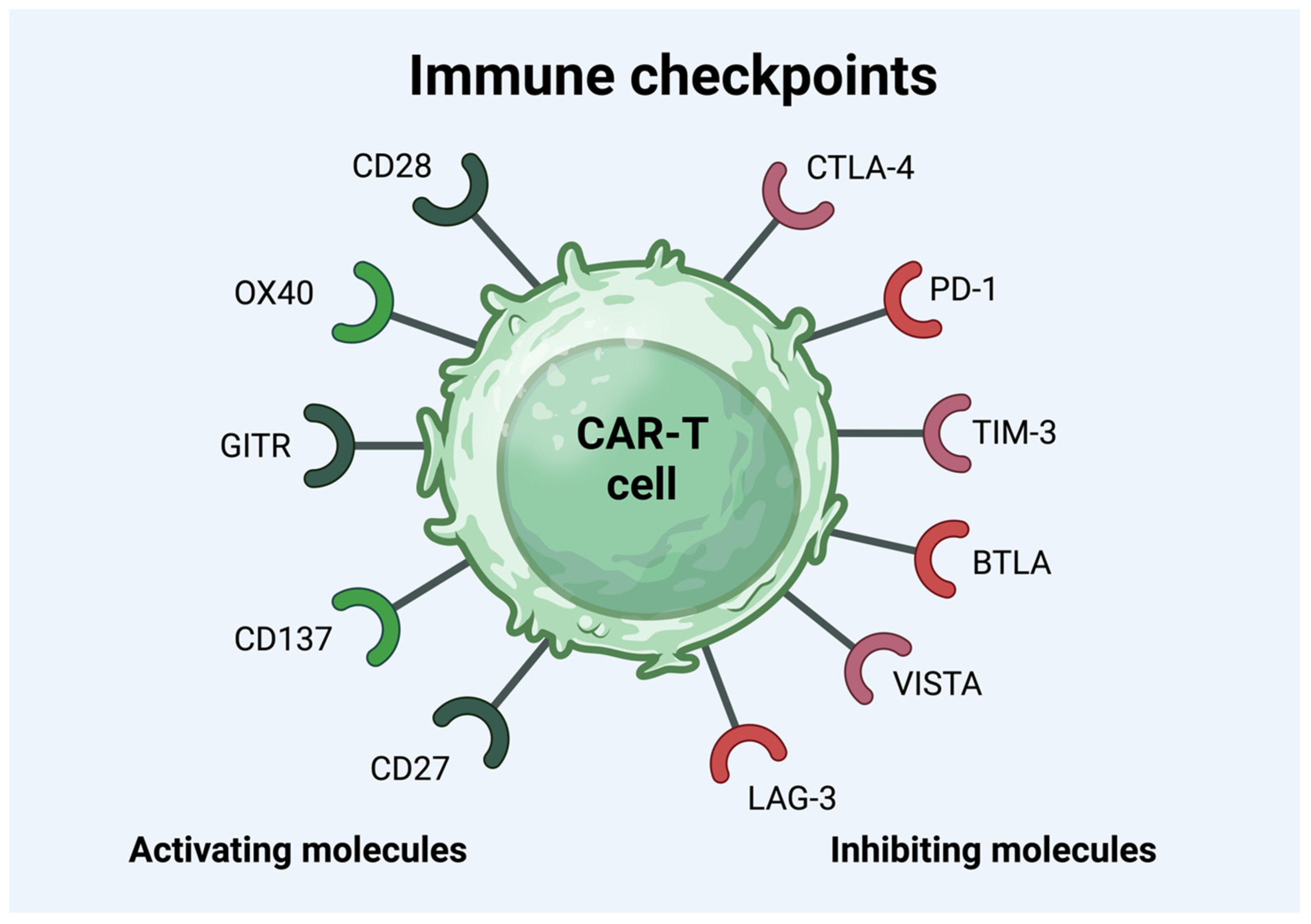 Cancers 16 03339 g001 Cancers 16 03339 g001