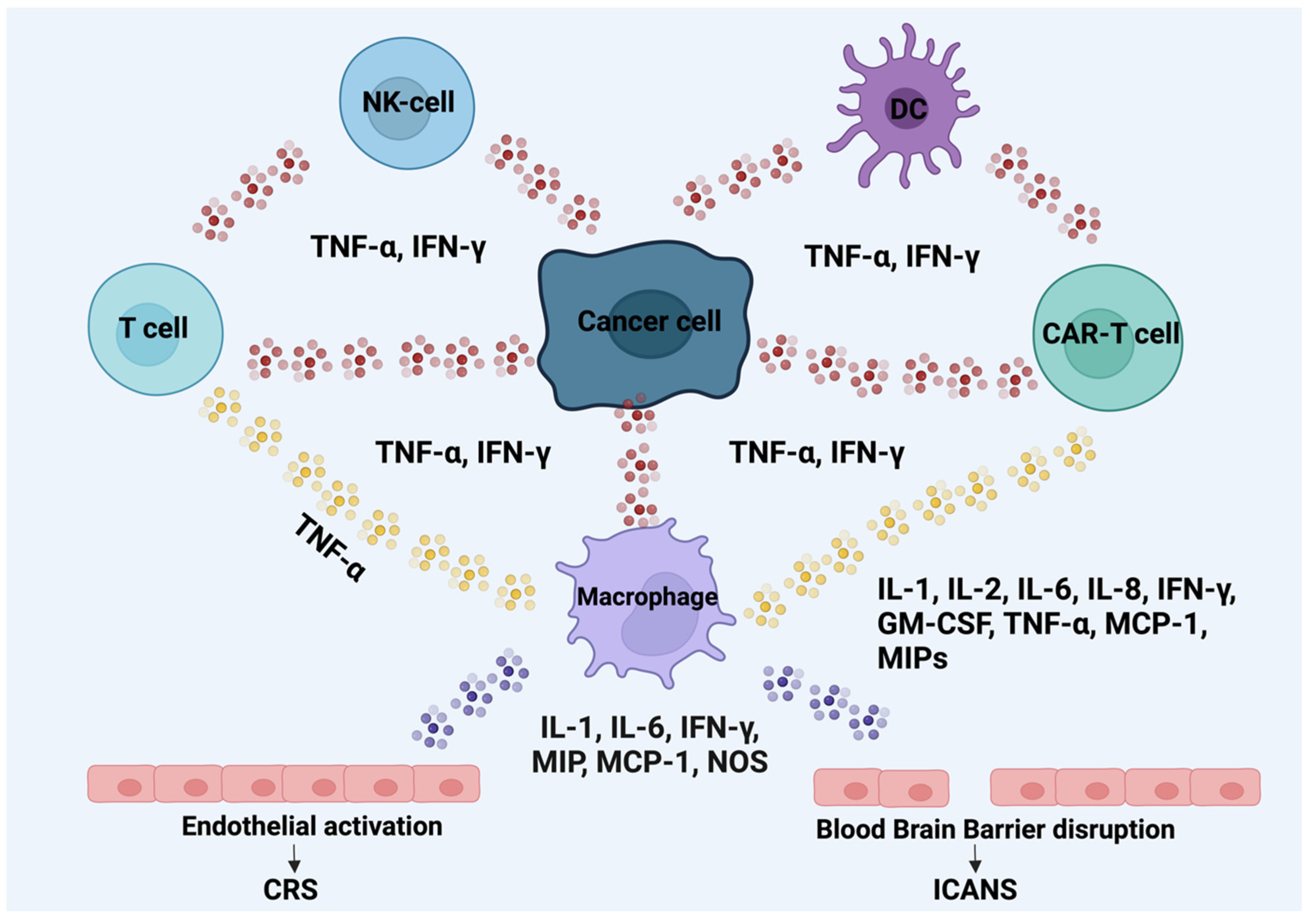 Cancers 16 03339 g002 Cancers 16 03339 g002